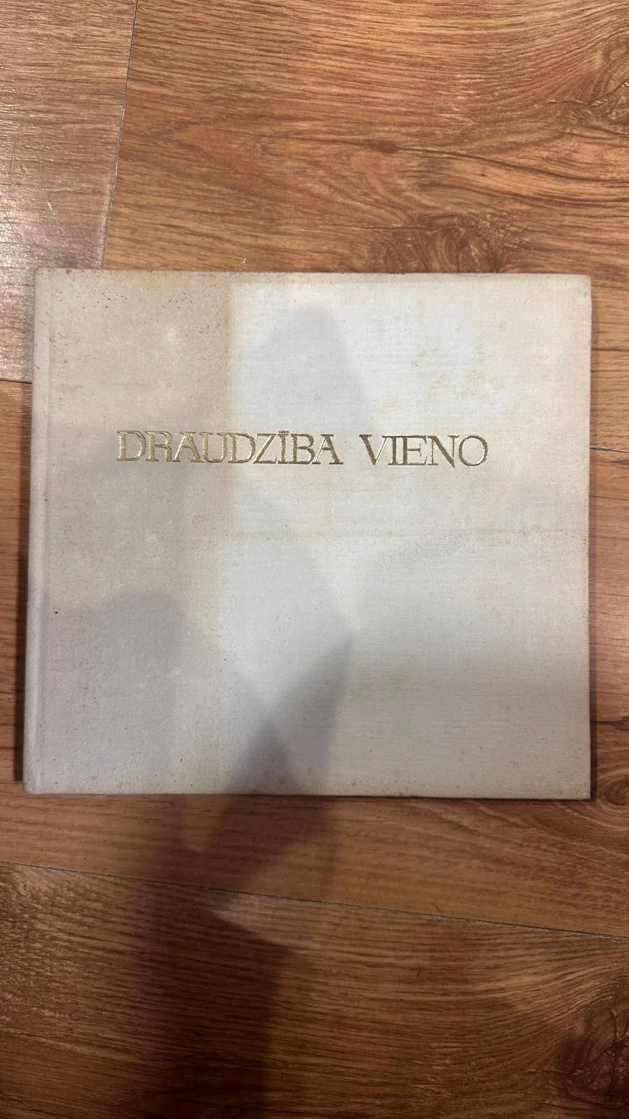 Draudzība vieno
