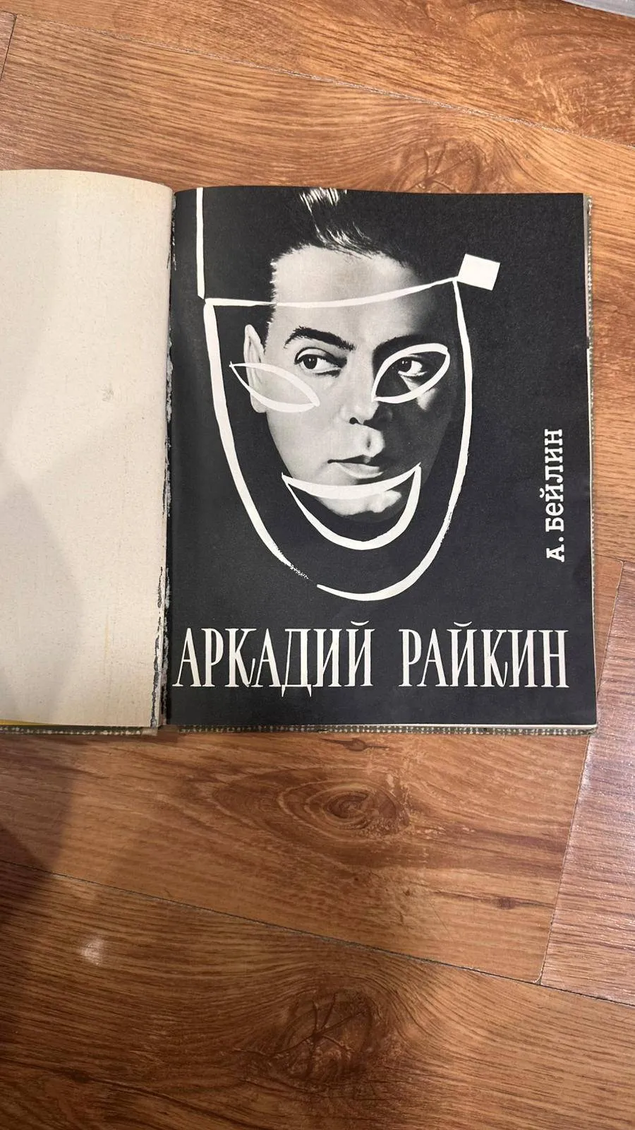 Arkādijs Raiķins - grāmata