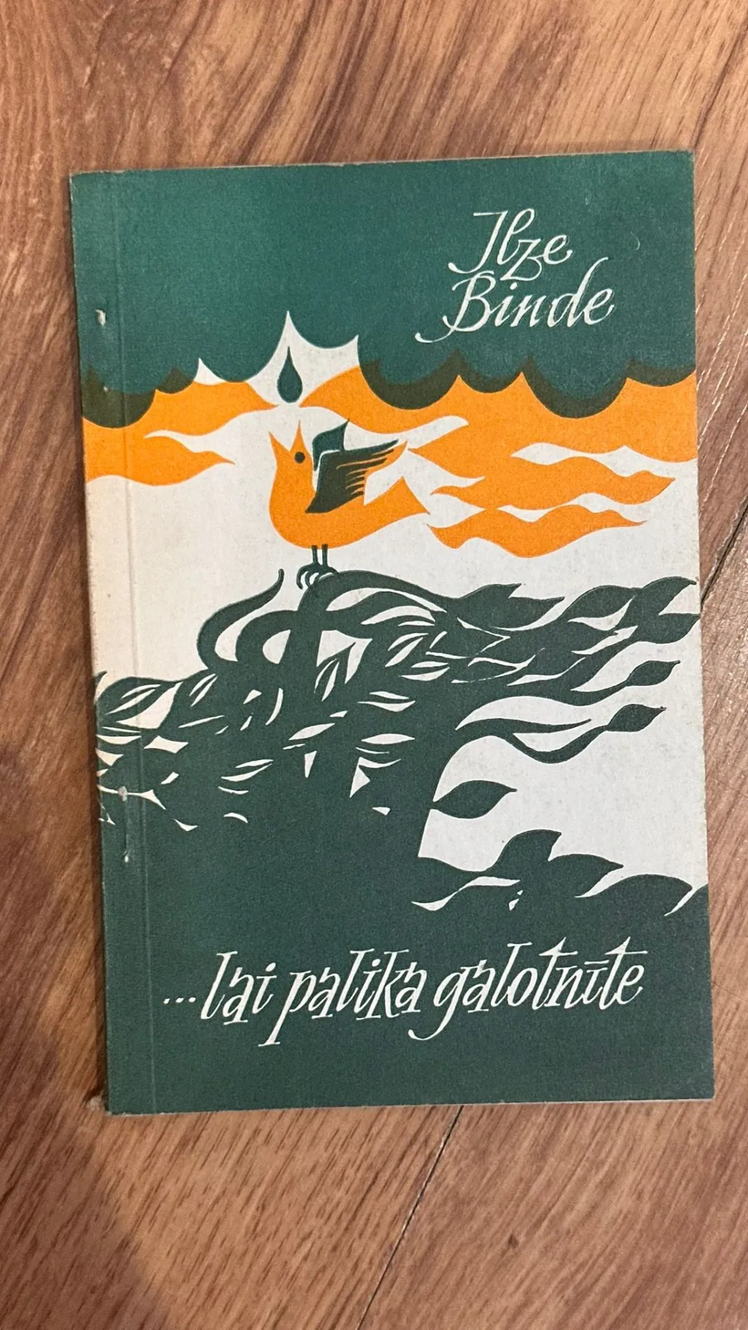 Latvian Poetry Book: 'Līze Binde ... lai palika galotnītē'