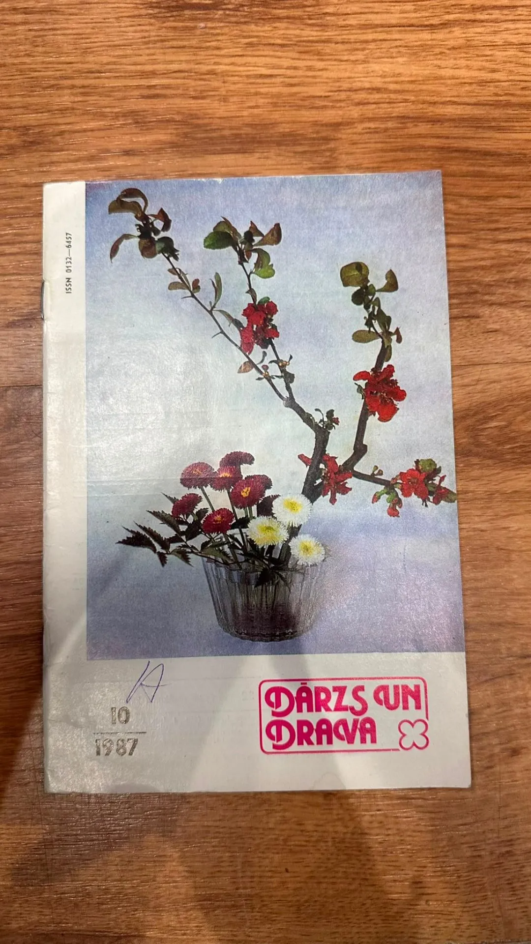 Grāmata "Dārzs un Drava"