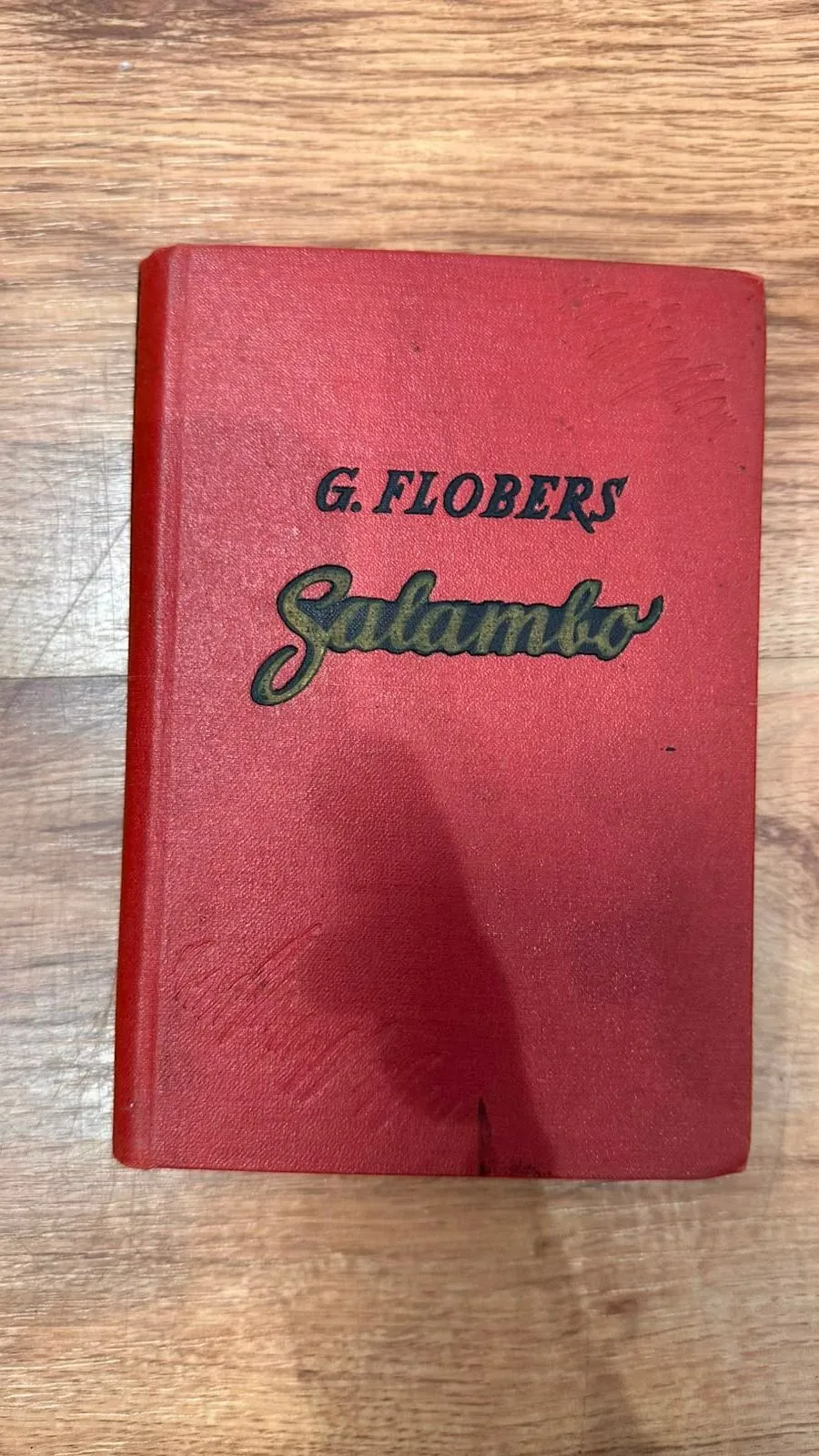 G. Flobers 'Salambō'