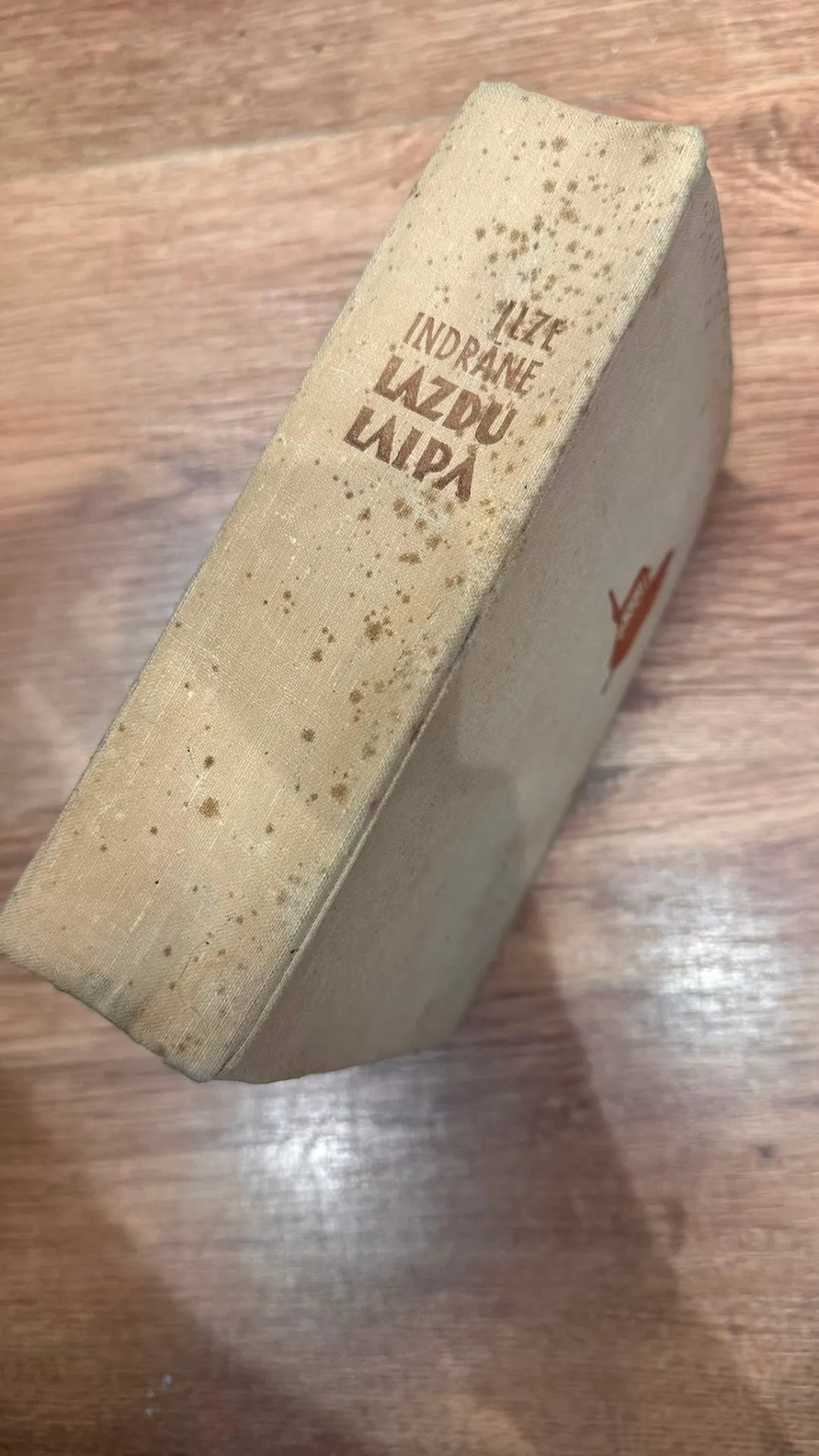 Ilze Indrāne - Lazdų laipa