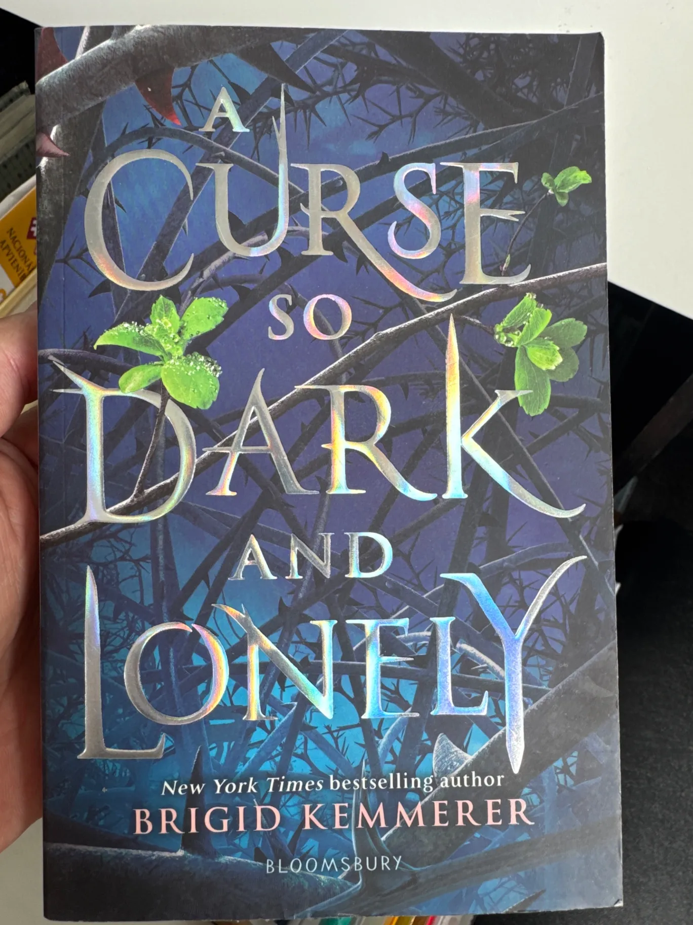 A Curse So Dark and Lonely by Brigid Kemmerer