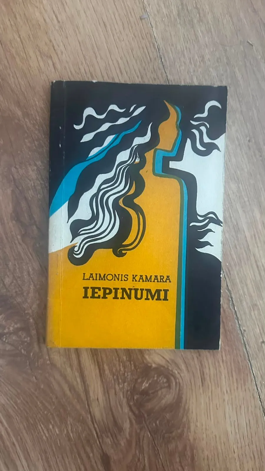 Laimonis Kamara - "Iepinumi" (Grāmata)