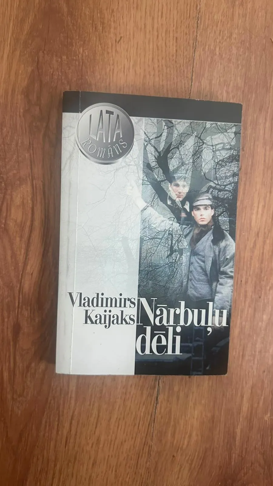 Vladimira Kaijaka romāns "Nārbuļu dēli" - LATA ROMĀNS sērijā