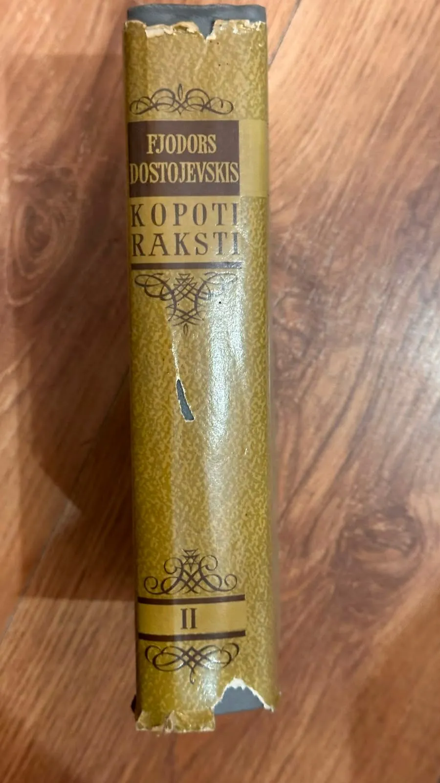 Fjodora Dostojevska "Īsie raksti" II sējums