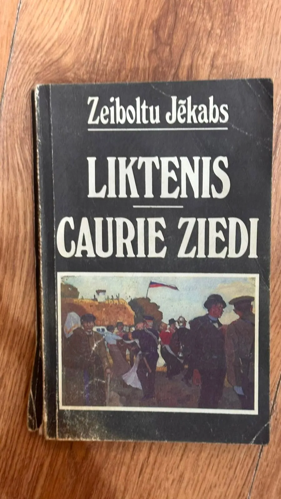 Zeiboltu Jēkaba grāmata "Liktenis caurie ziedi"
