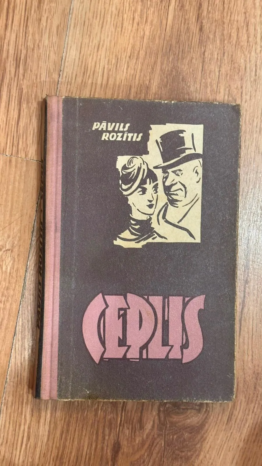 Grāmata "Cepure" - Pāvila Rozīša darbs