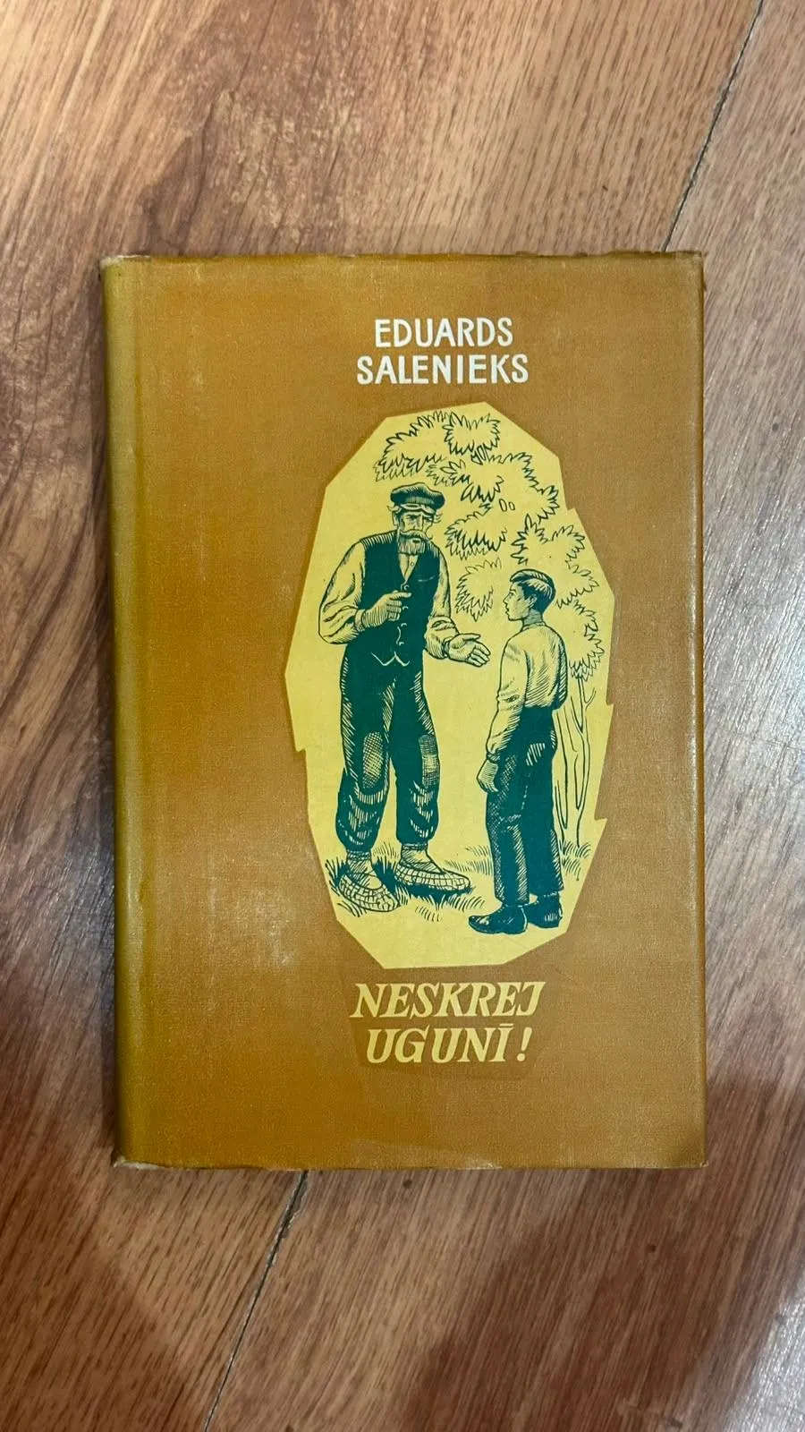 Eduards Saliņš. Neskrej uguni! (Vecākais izdevums)