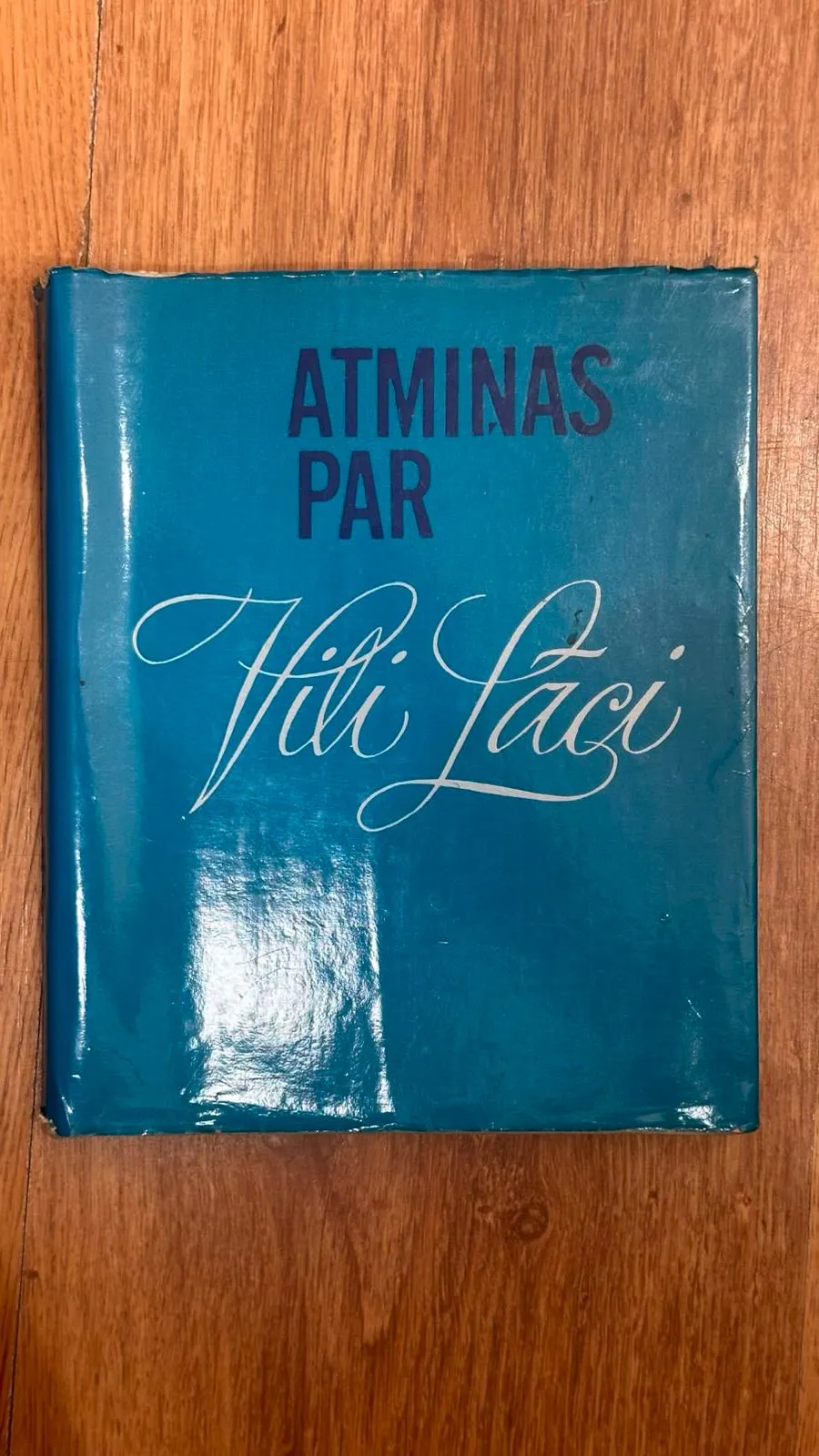 Vīļa Lāča romāns "Atminas par"