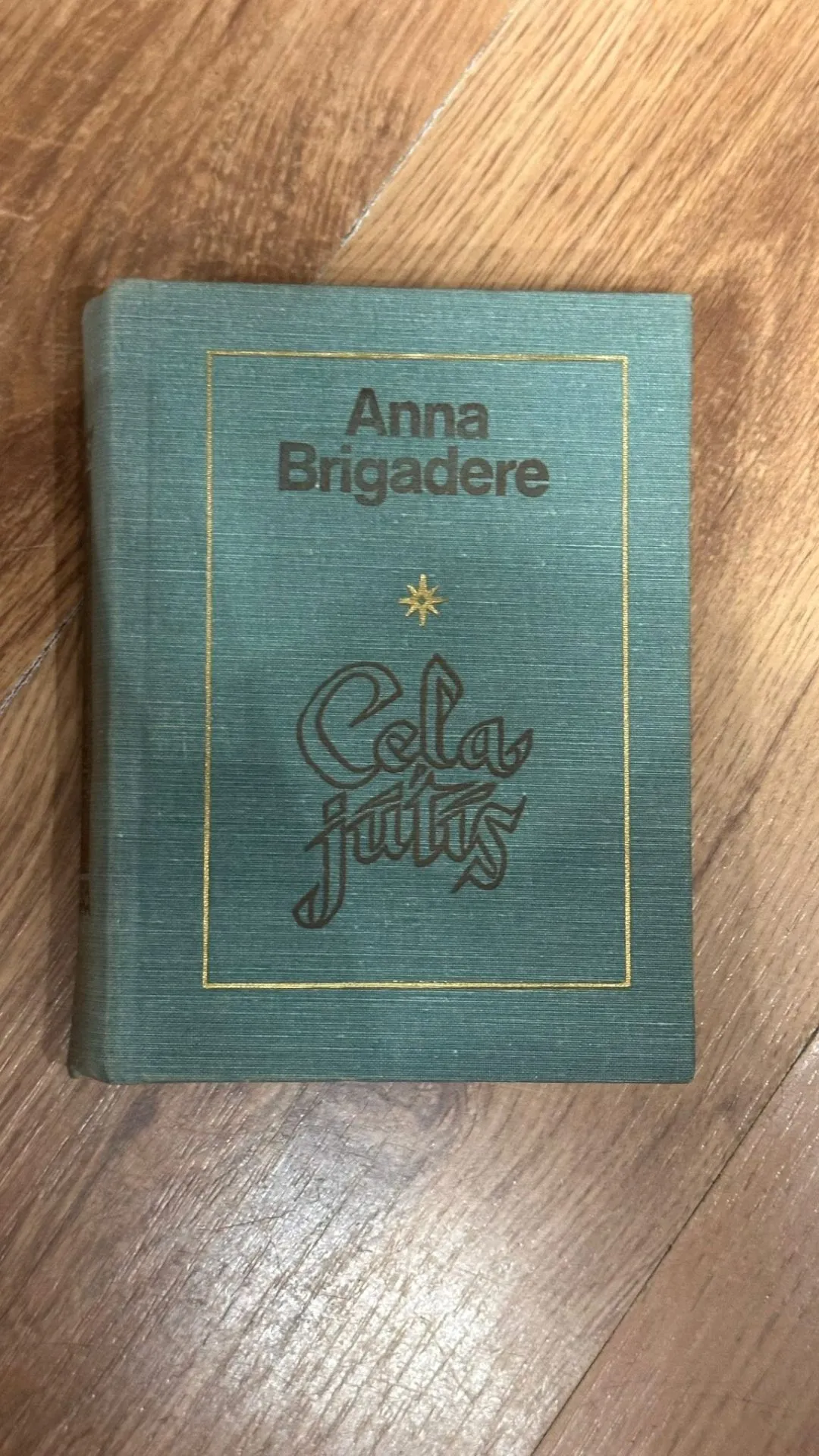 Anna Brigadere – „Cēla jūts” (Cietvāku izdevums)
