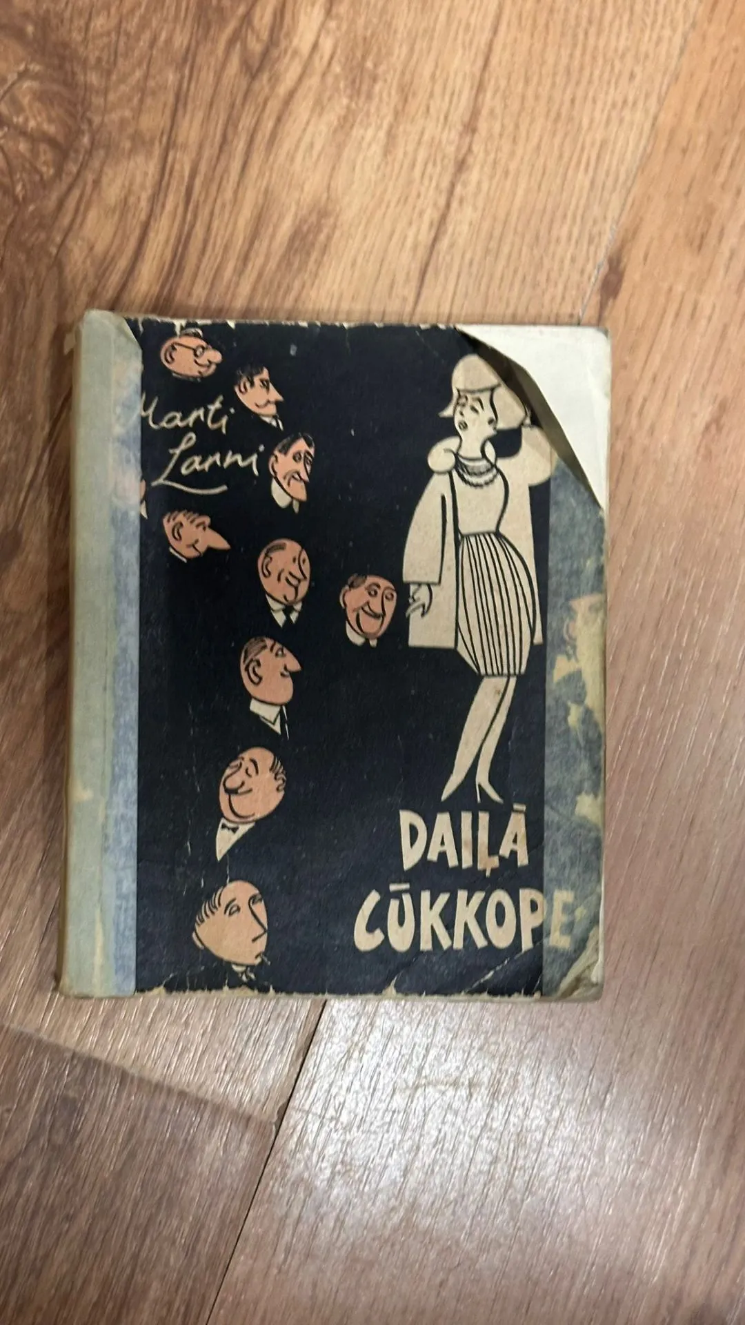 Unikāla grāmata "Daila Cukope" - retums kolekcionāriem!