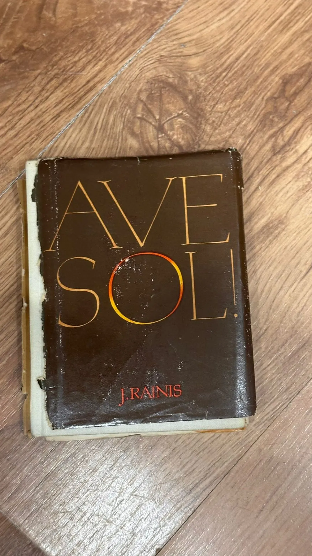 Jāņa Raiņa grāmata "Ave Sol!"
