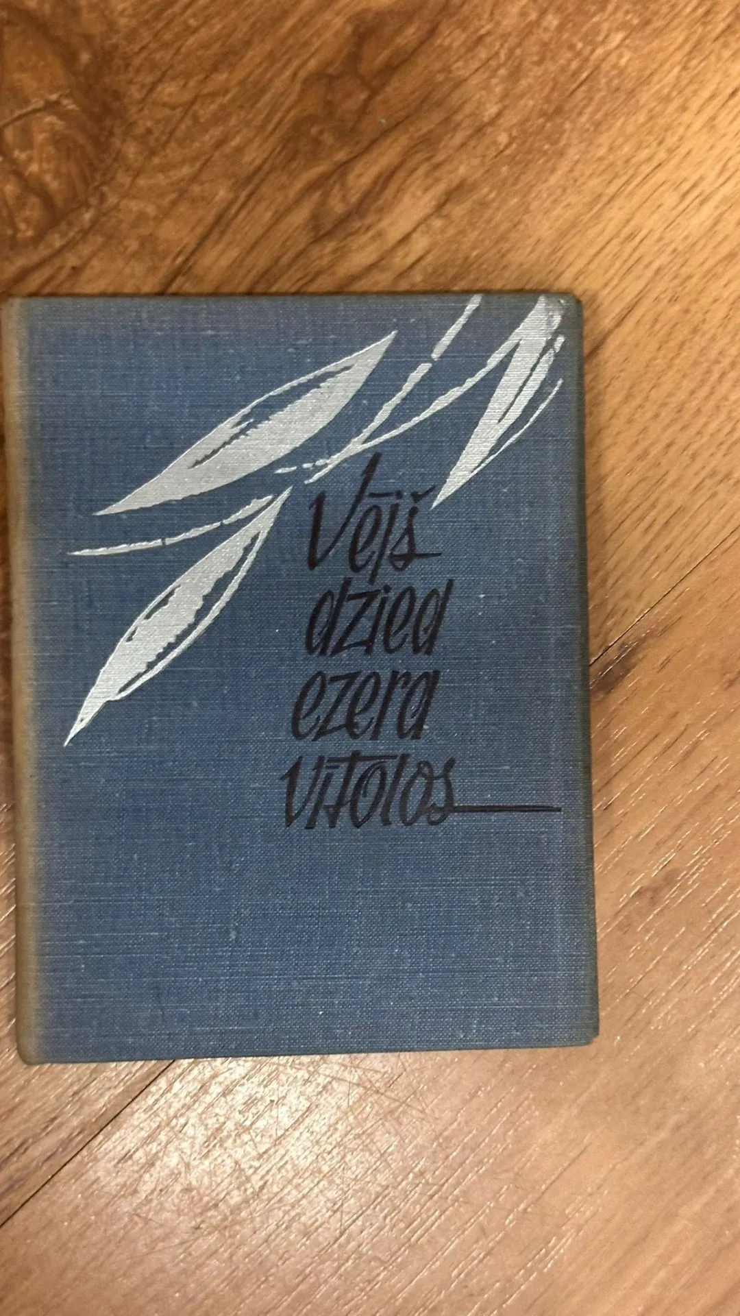 Dzejas krājums "Vējš dzied ezerā" - Romāns Vītols