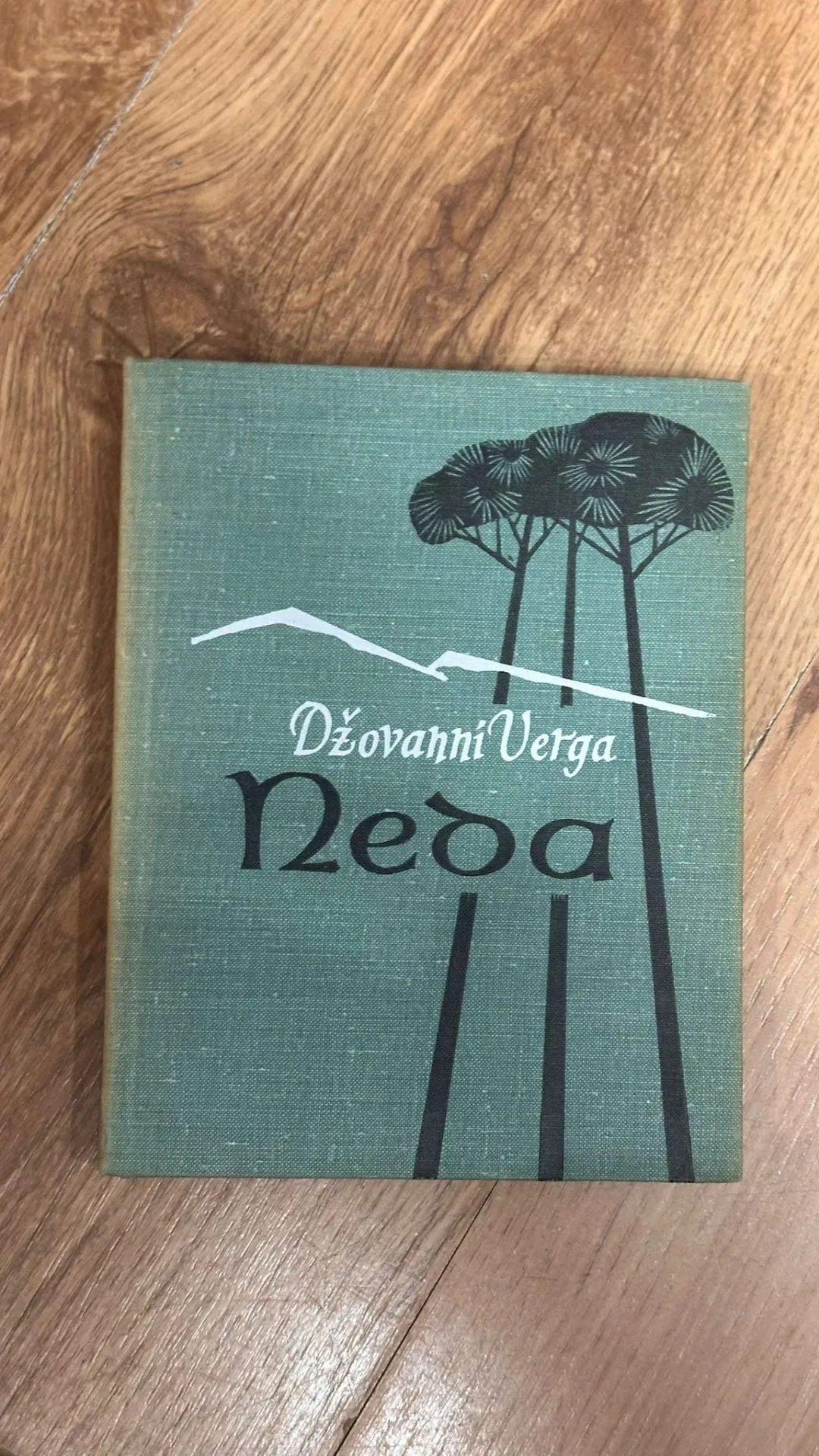 Džovanni Verga – „Neḍa” (Ilustrēts izdevums)