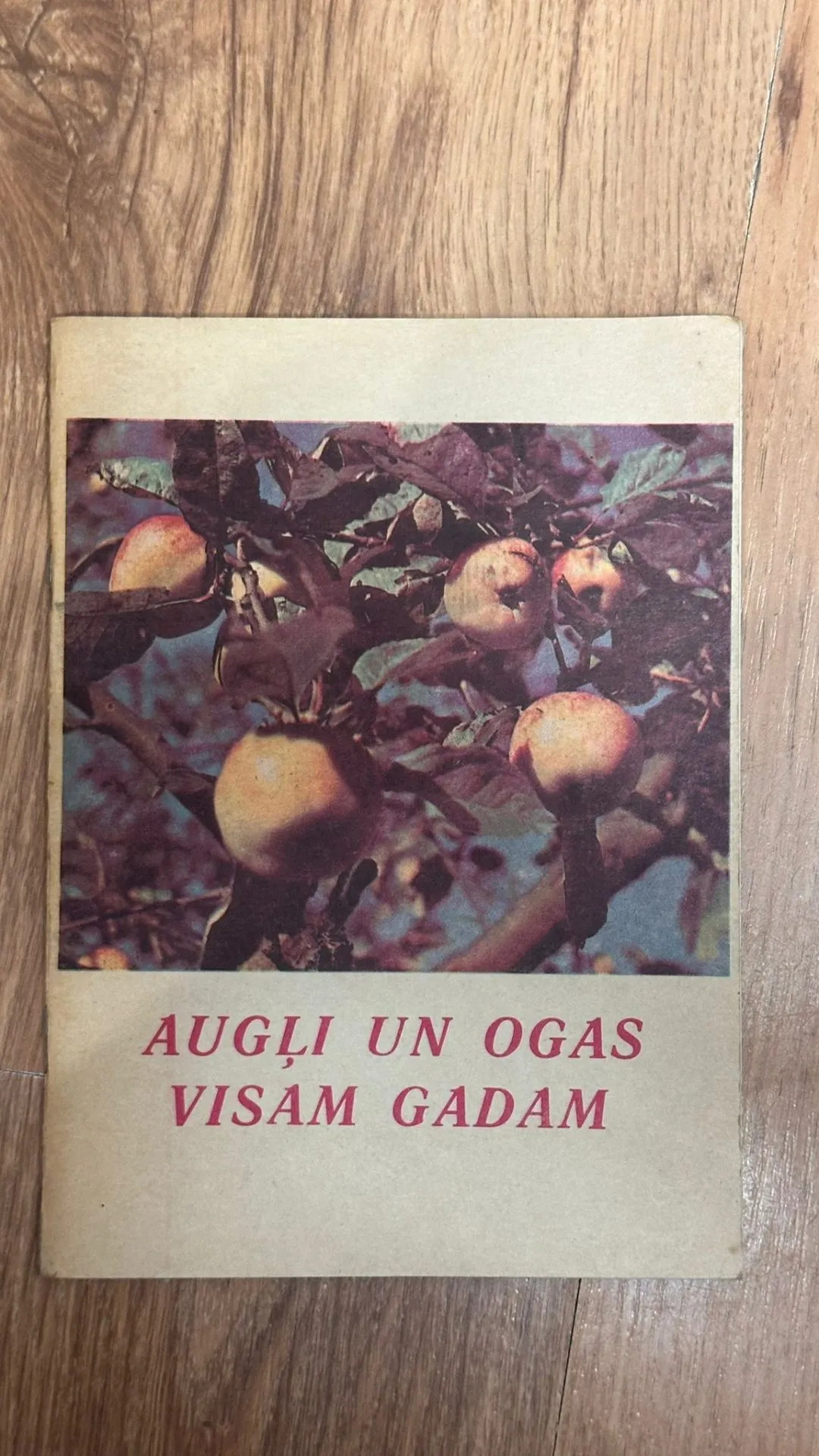 Vecā grāmata: Augļi un ogas visam gadam