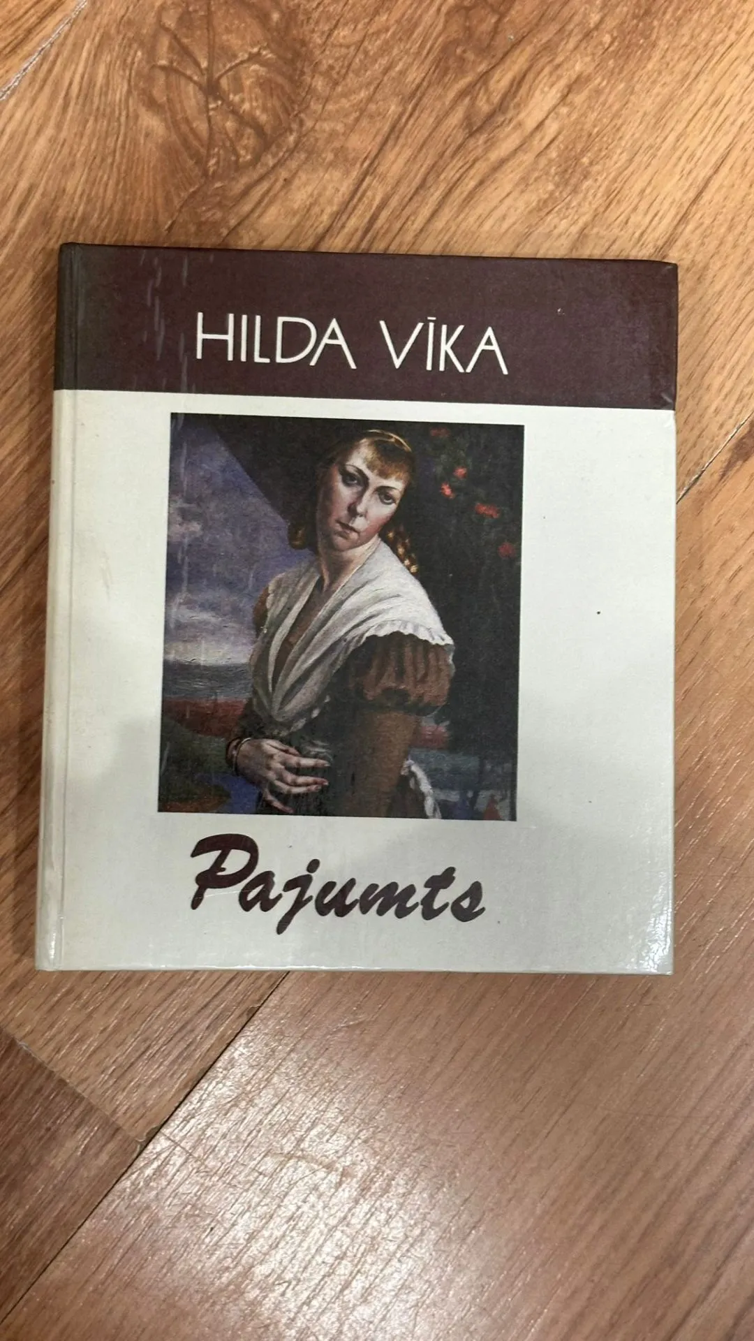 Hilda Vīka - "Pajumts" (Grāmata)
