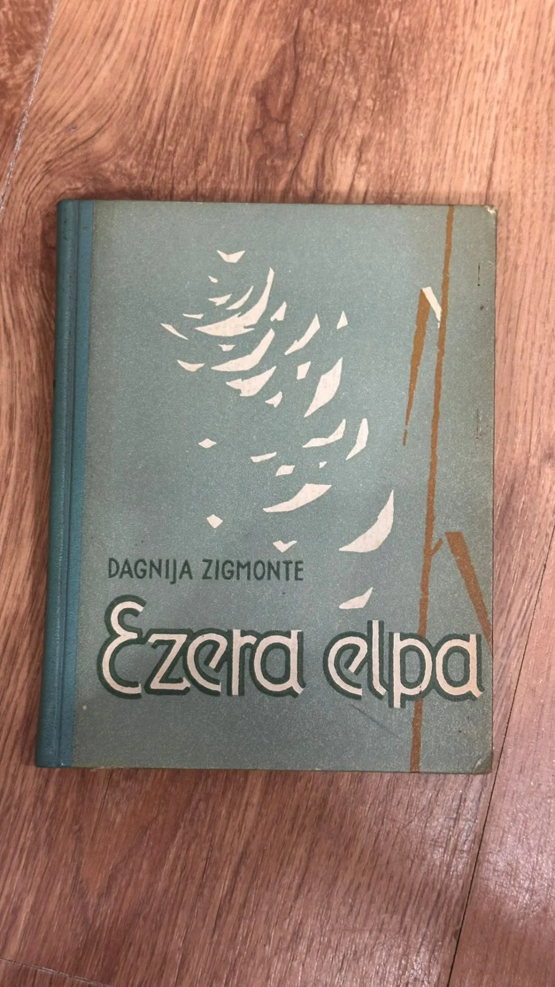 Dagnija Zigmonte - Ezera elpa (Grāmata)