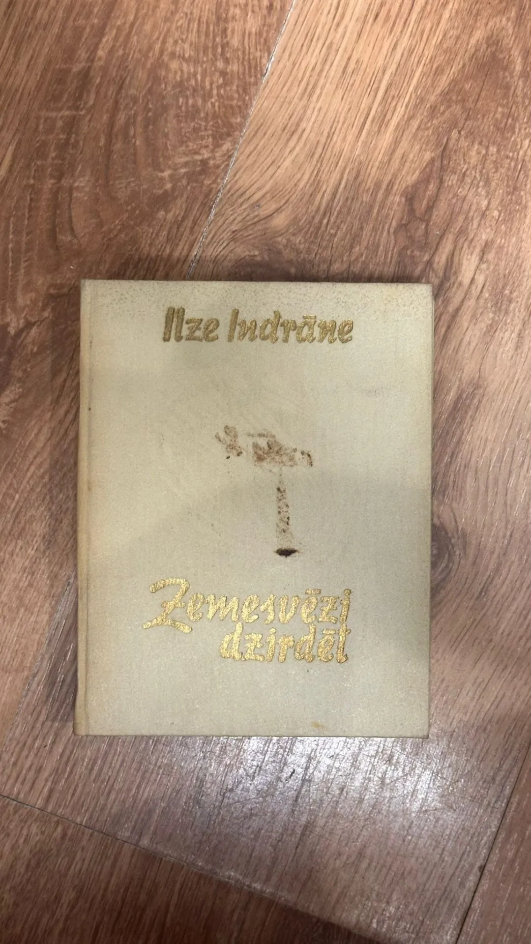 Grāmata "Zemeszvētki dzirdēt" - Ilze Indrāne
