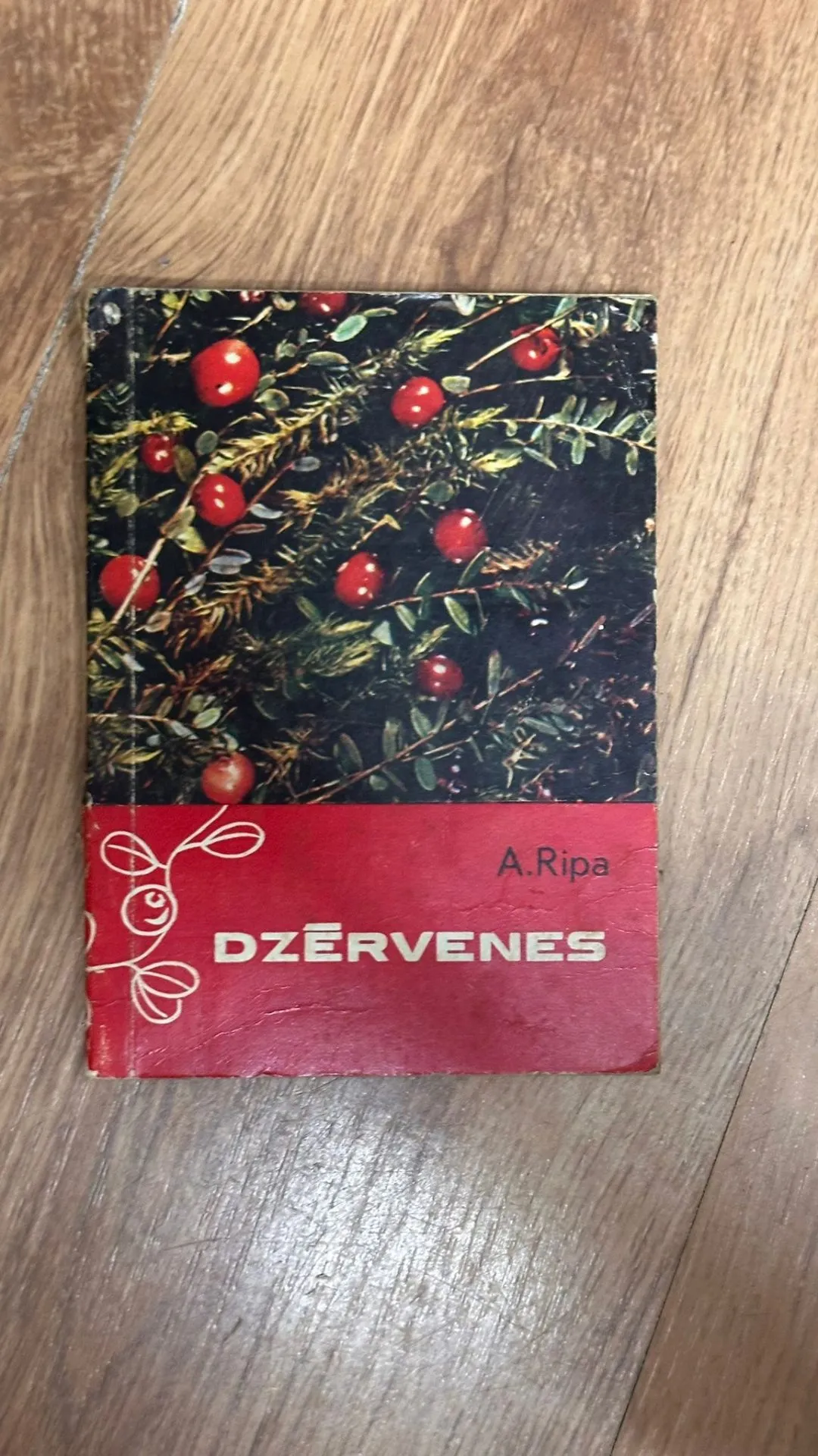 Grāmata 'Dzērvenes' autore A. Ripa