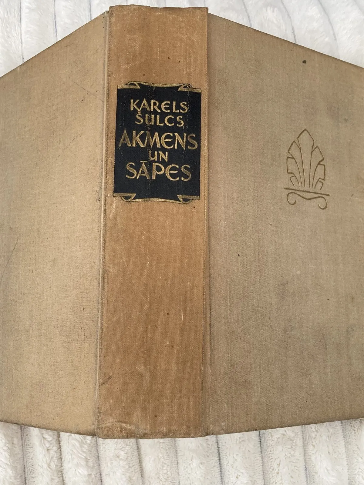 Kārlis Šulcs – Akmens un sāpes 12