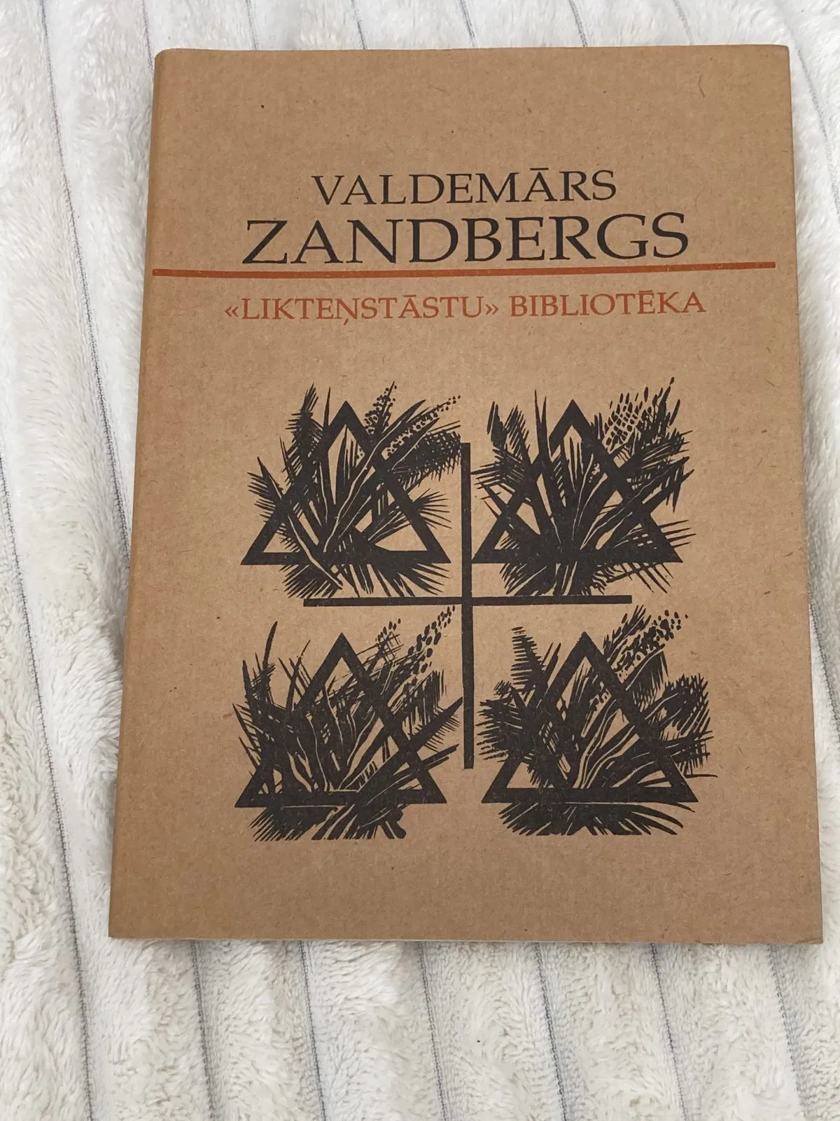 Valdemārs Zandbergs (Liktenstāstu bibliotēka) 12