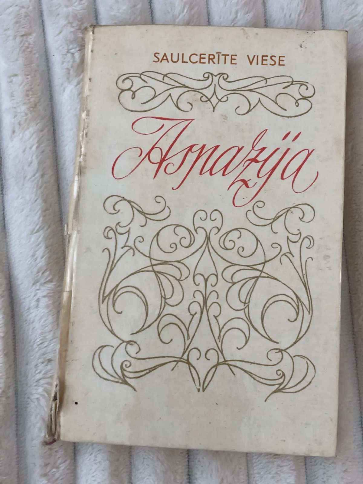 Saulcerīte Viese – Aspazija 12