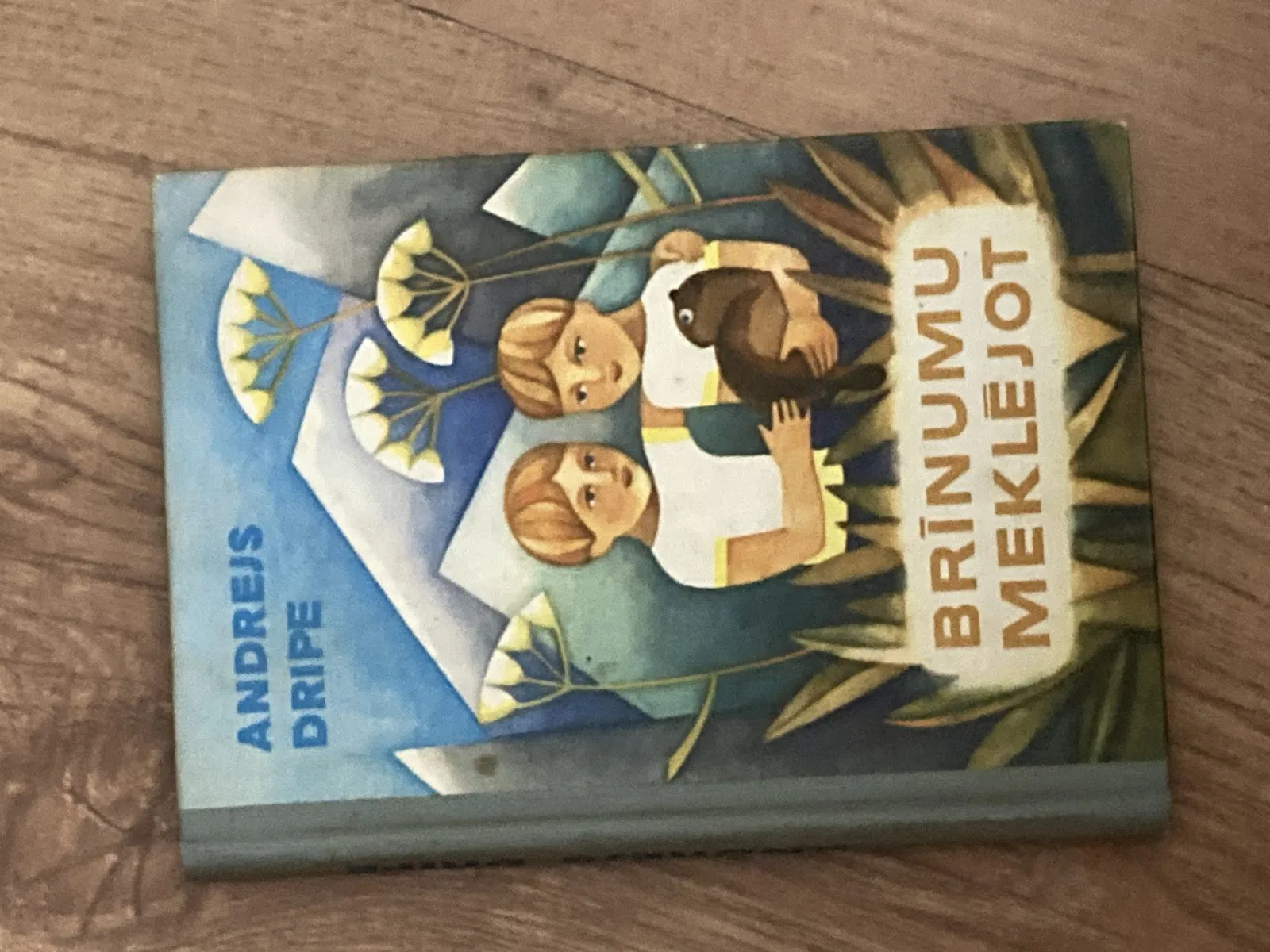Andrejs Dripe – Brīnumu meklējot 19