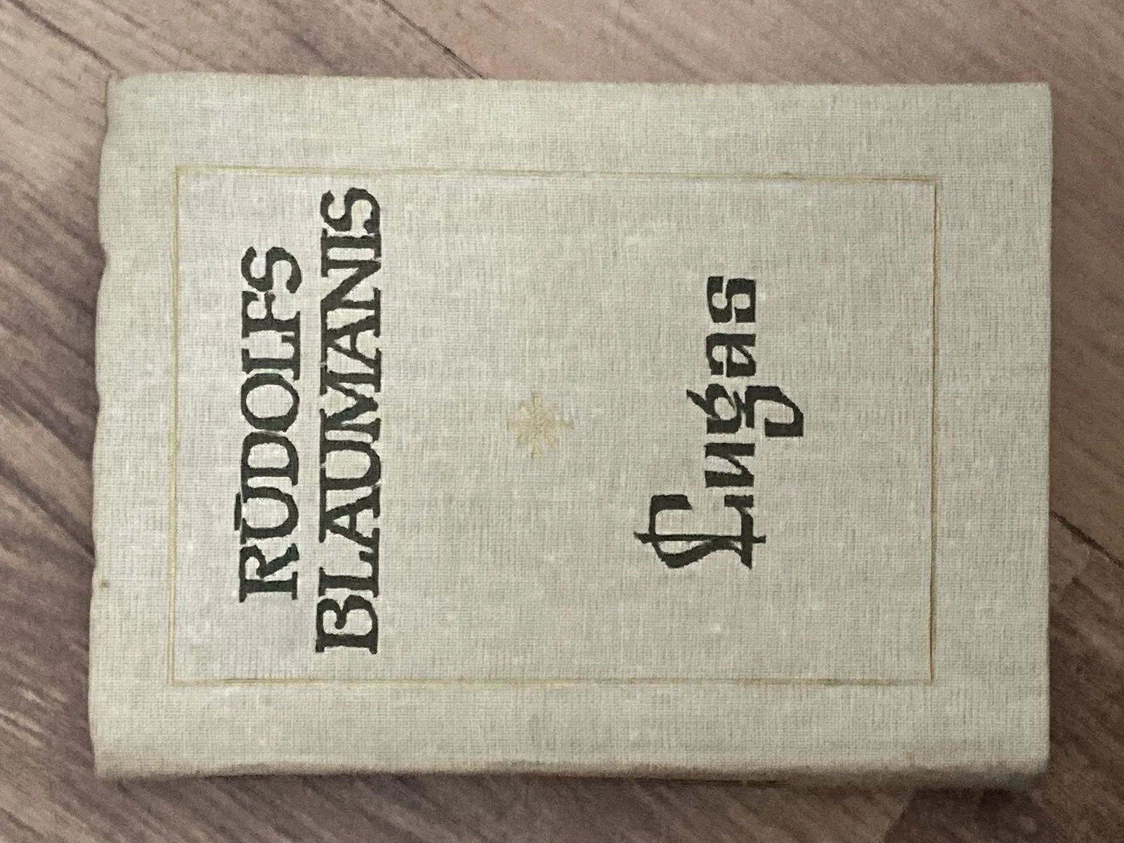 Rūdolfs Blaumanis – Lugas 19