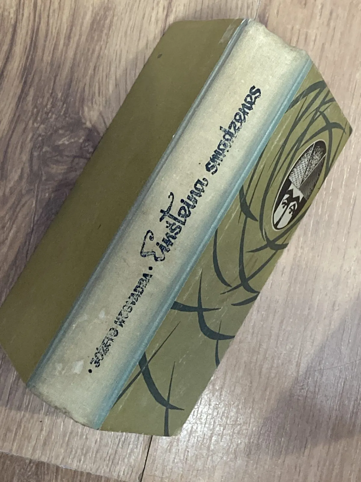 Einšteina smadzenes (fantastika) 19