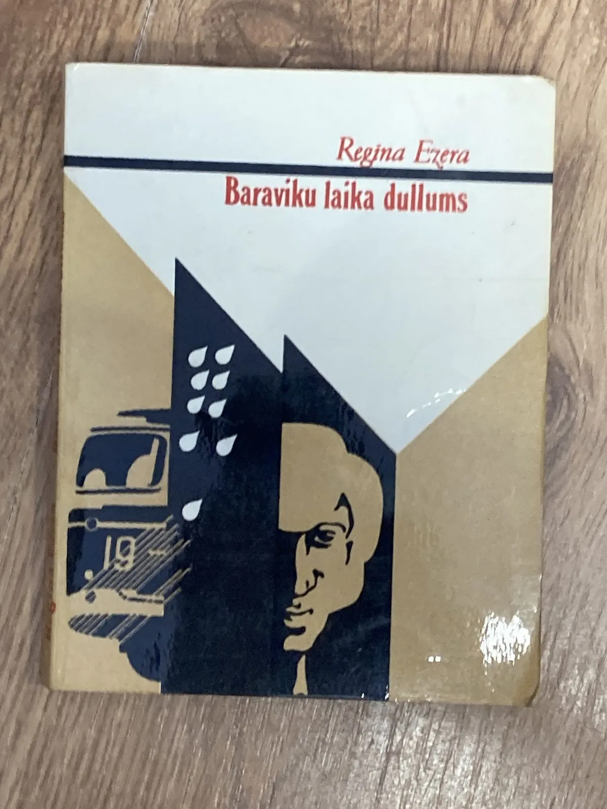 Regīna Ezera – Baraviku laika dullums 19