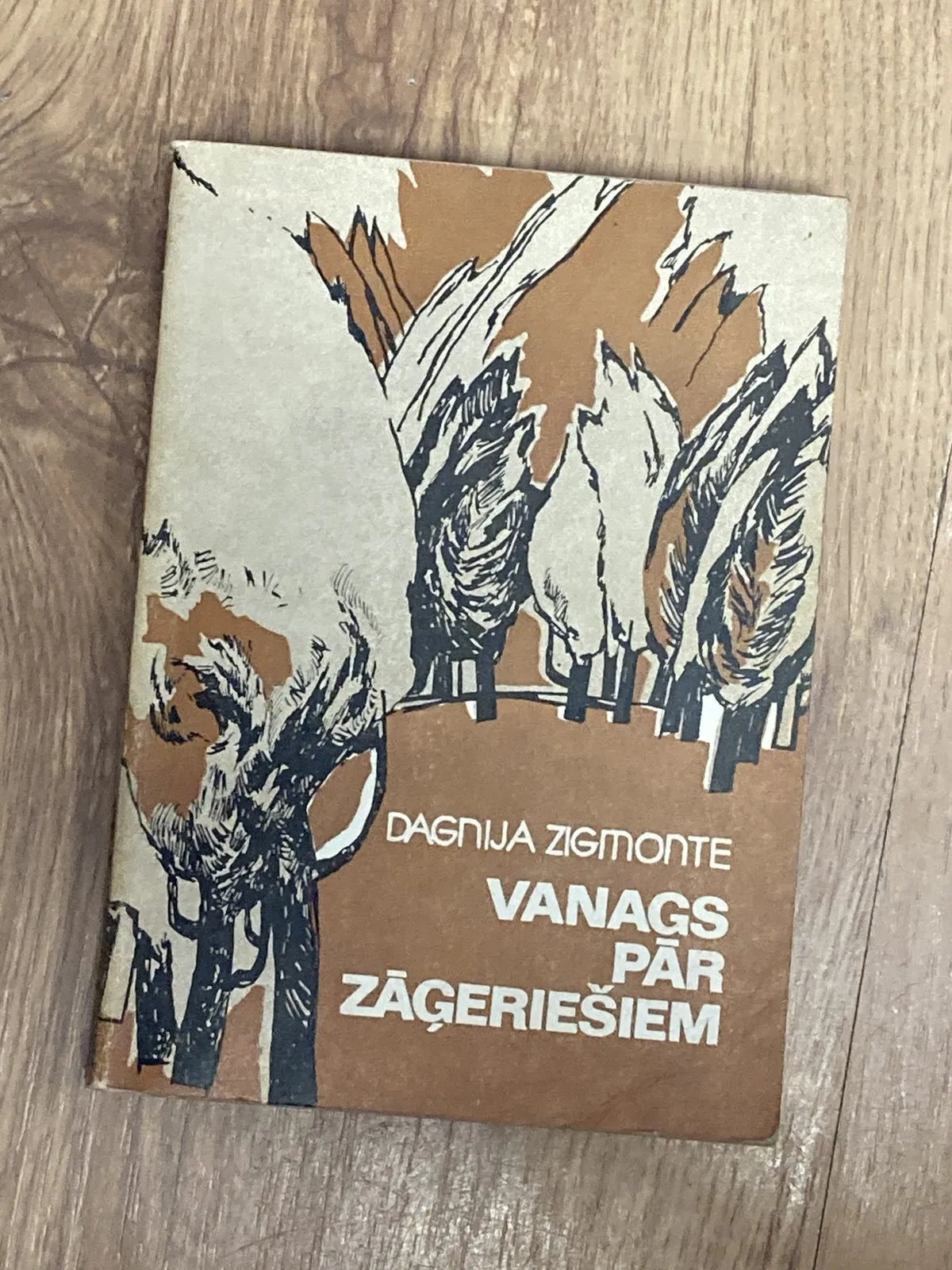 Dagnija Zigmonte – Vanags pār Zāģeriešiem 19