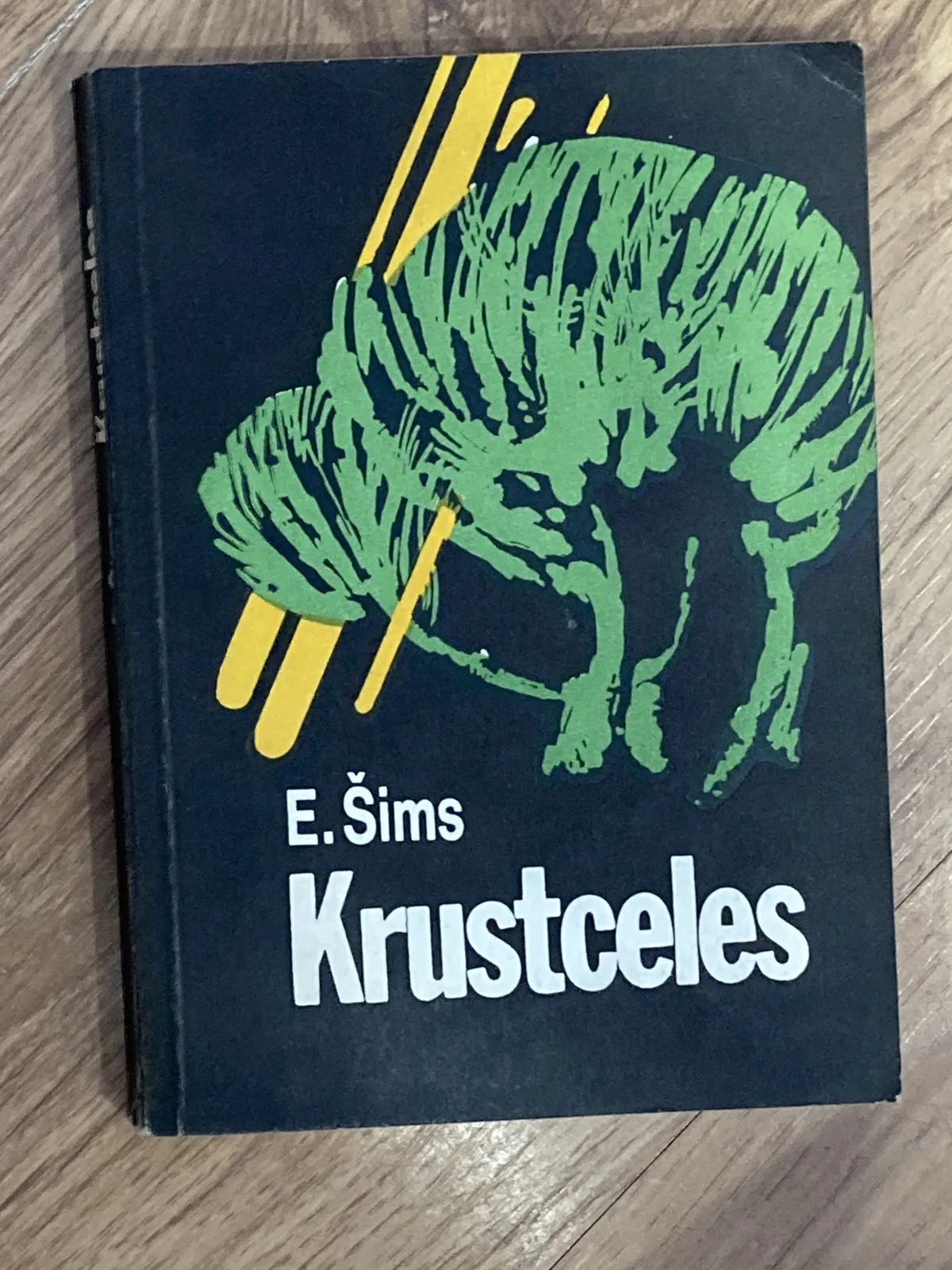 E. Šims – Krustceles 19