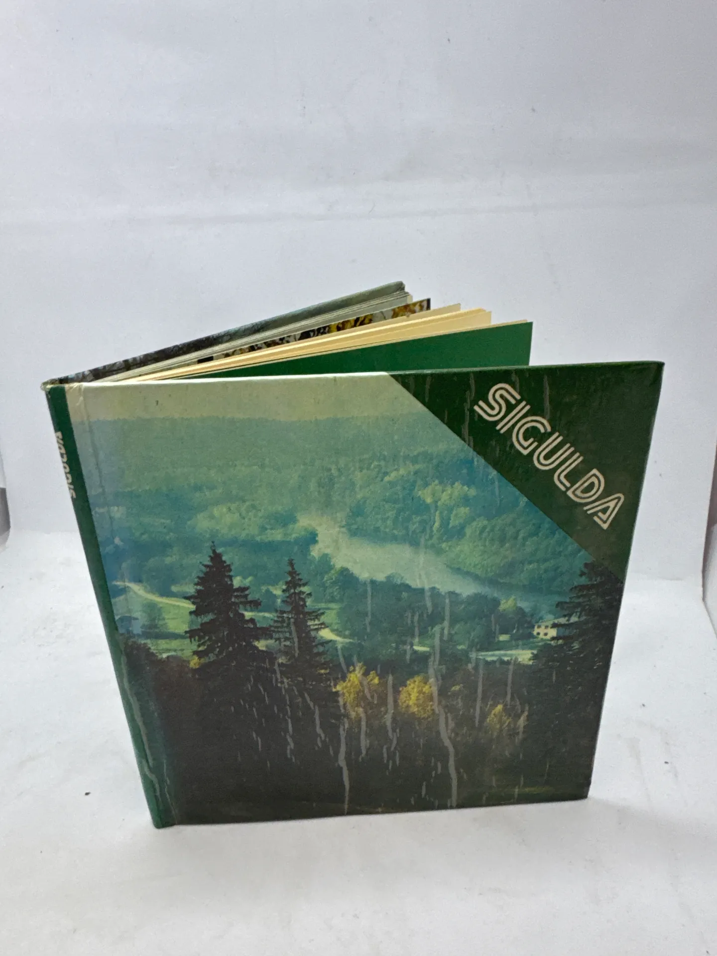 Sigulda - skaista un interesanta grāmata