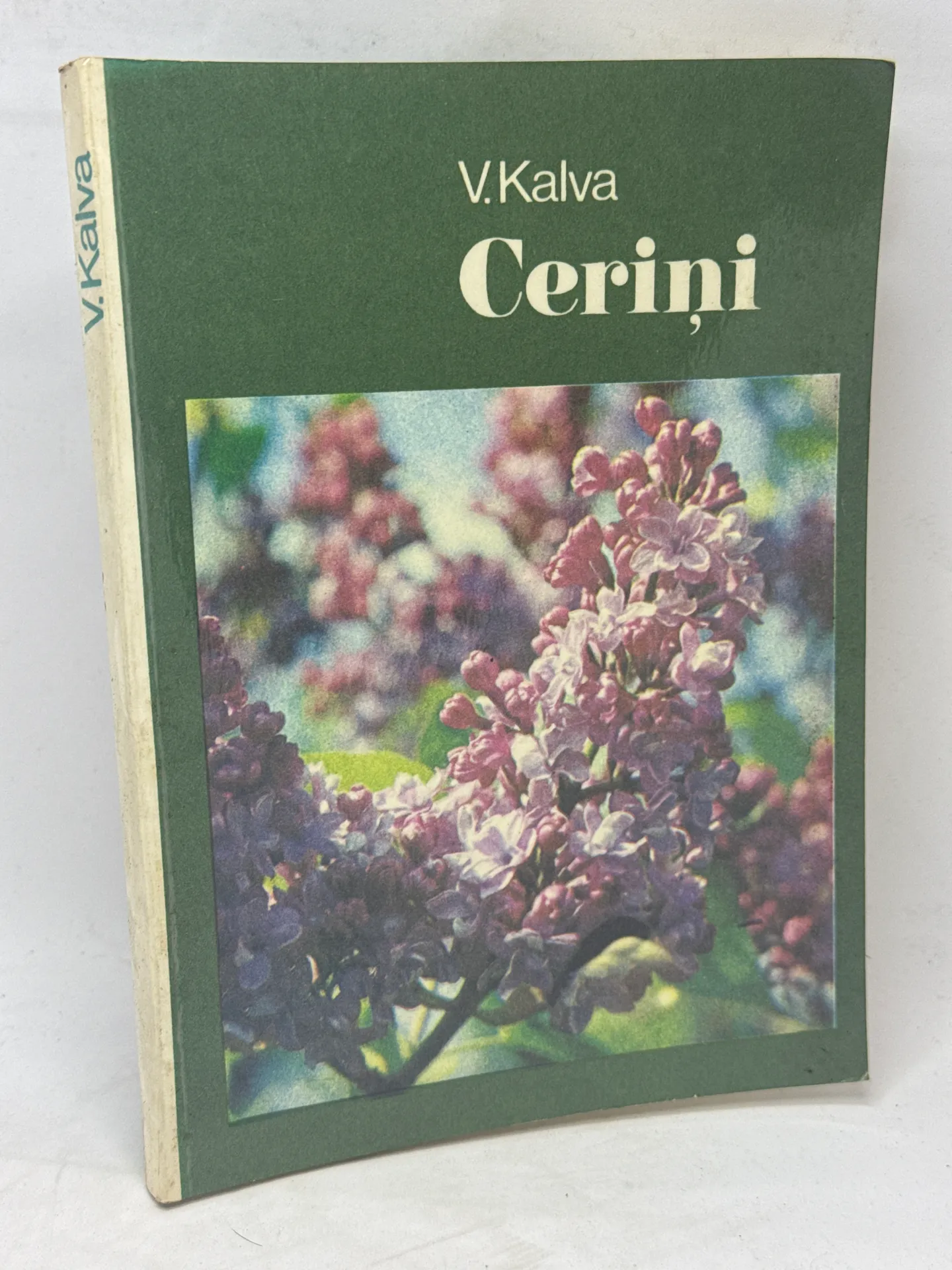 Cerini