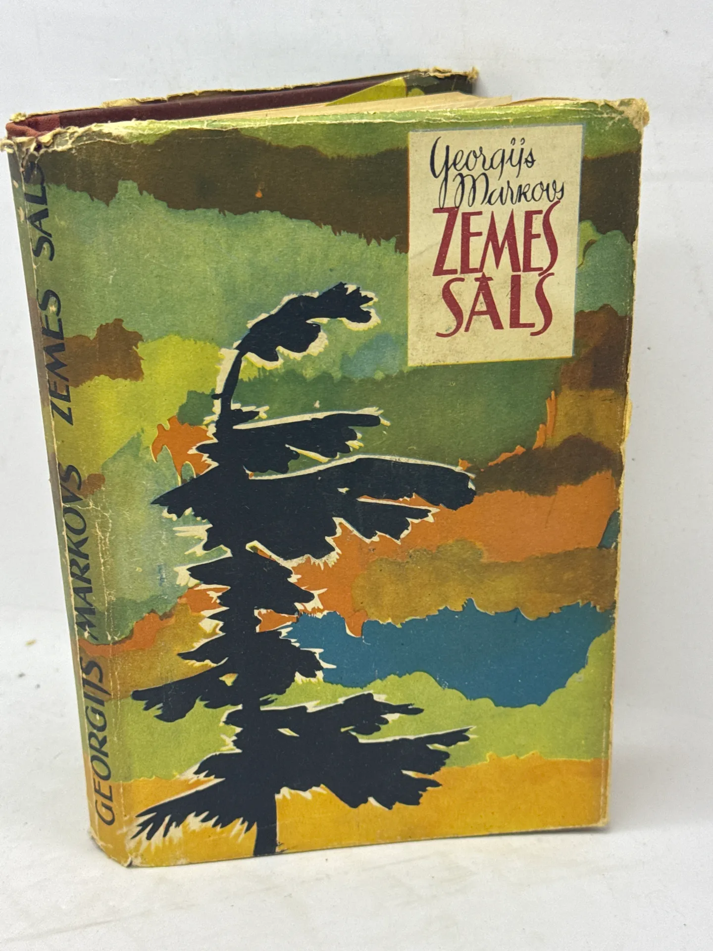 Grāmata 'Zemes sāls' - reti grāmatu mīļotāju priekšmeti