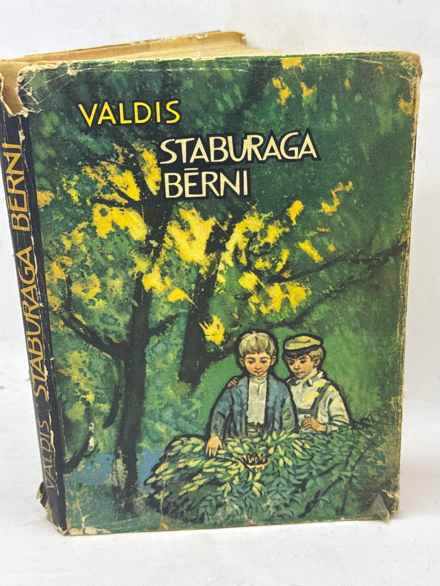 Valdis Staburaga Berni