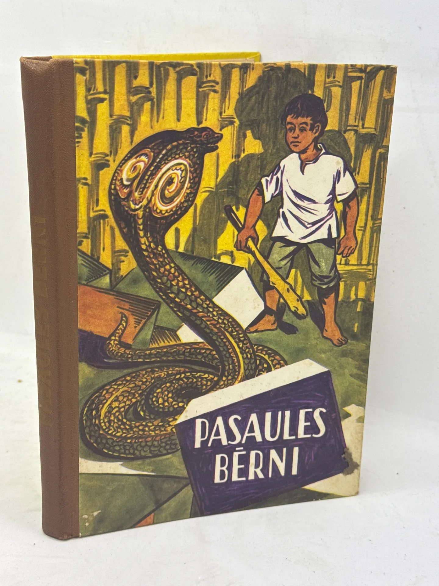 Pasaules bērni