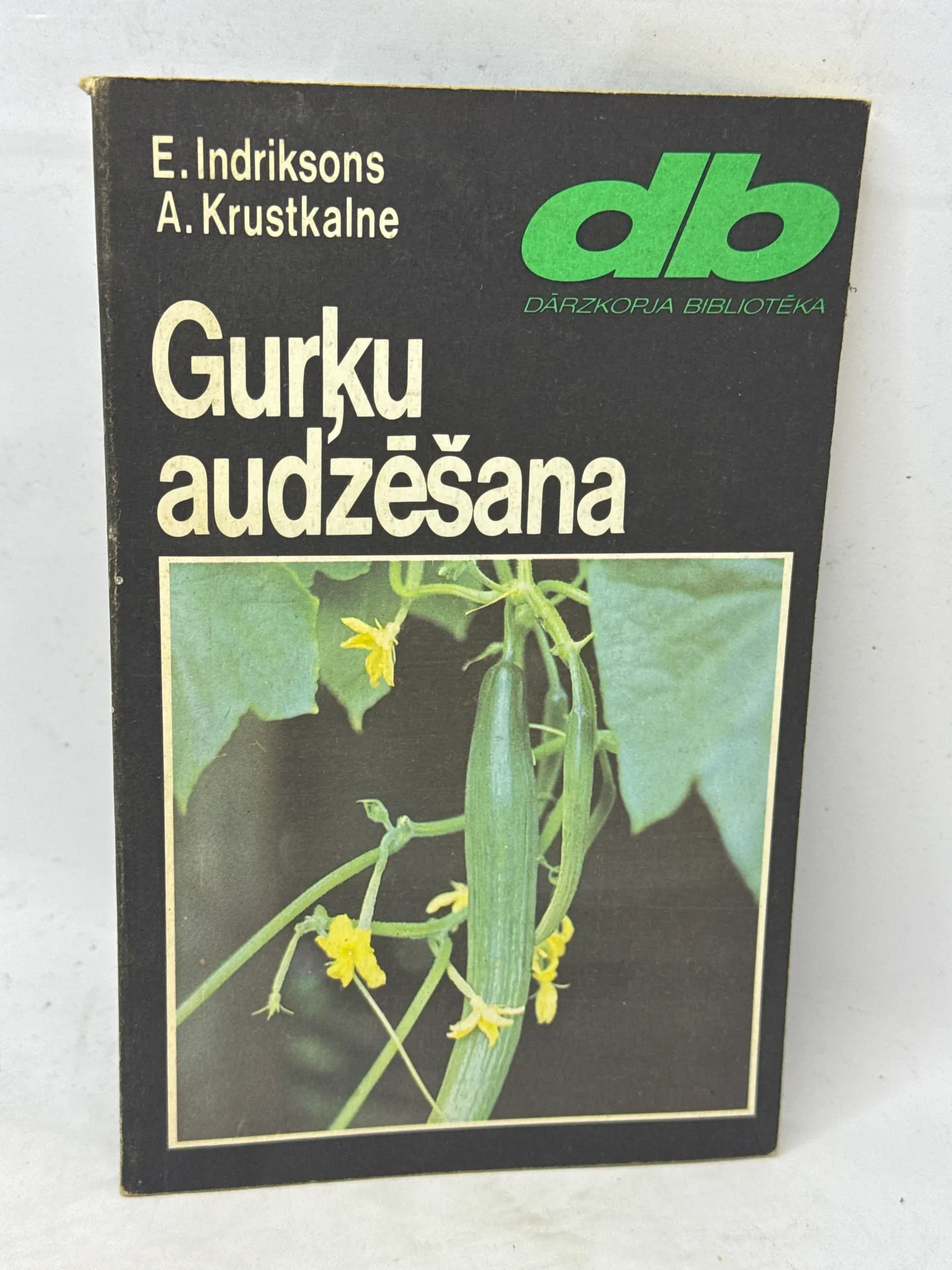 Gurku audzēšana