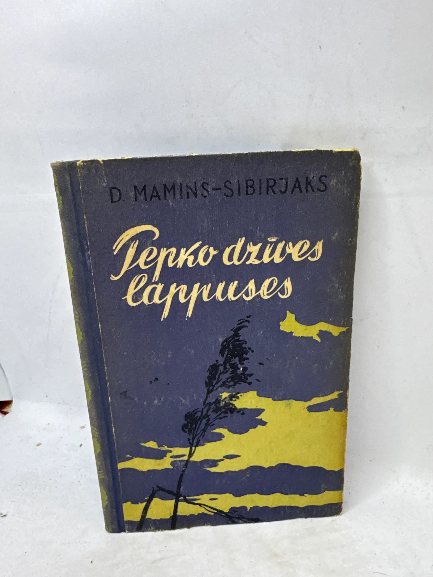 Grāmata 'Terko dzīves lapas'