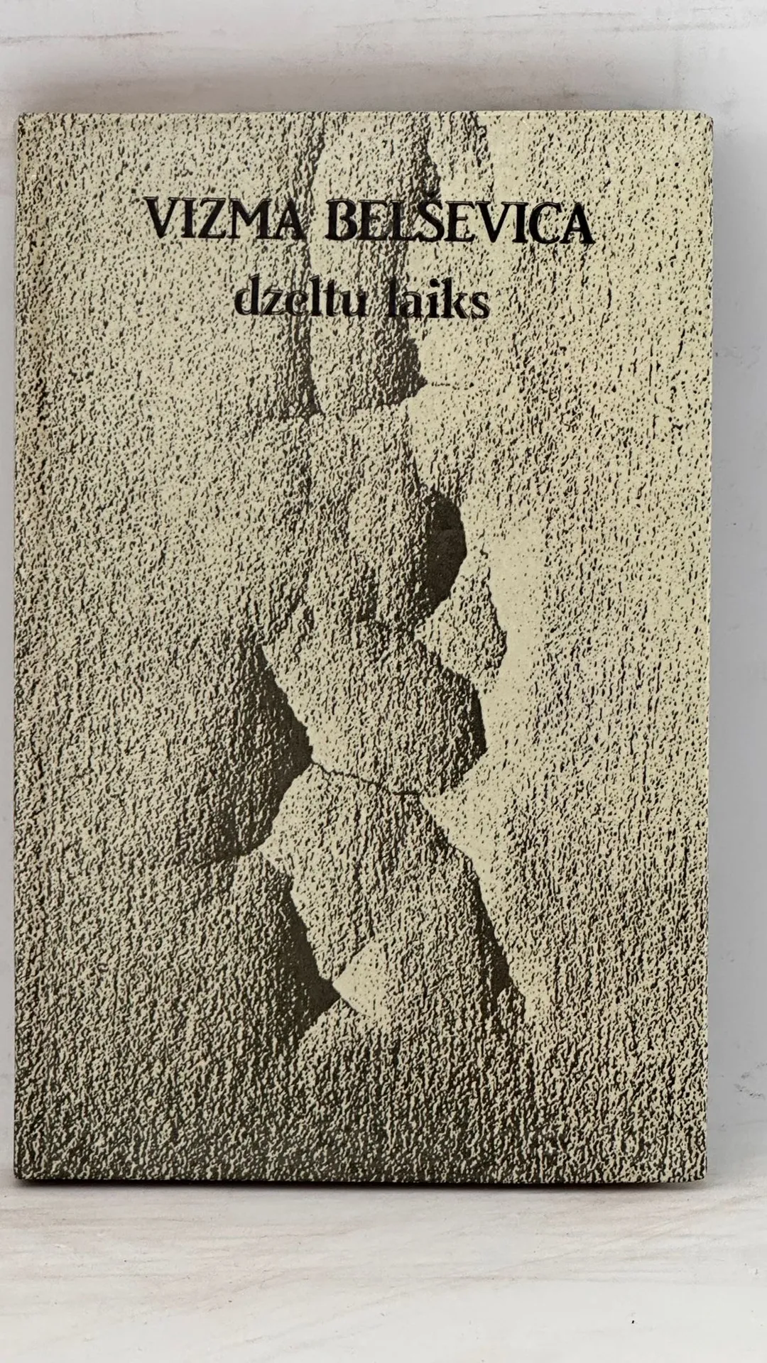 Vizma Belseviča - Dzeltu laiks