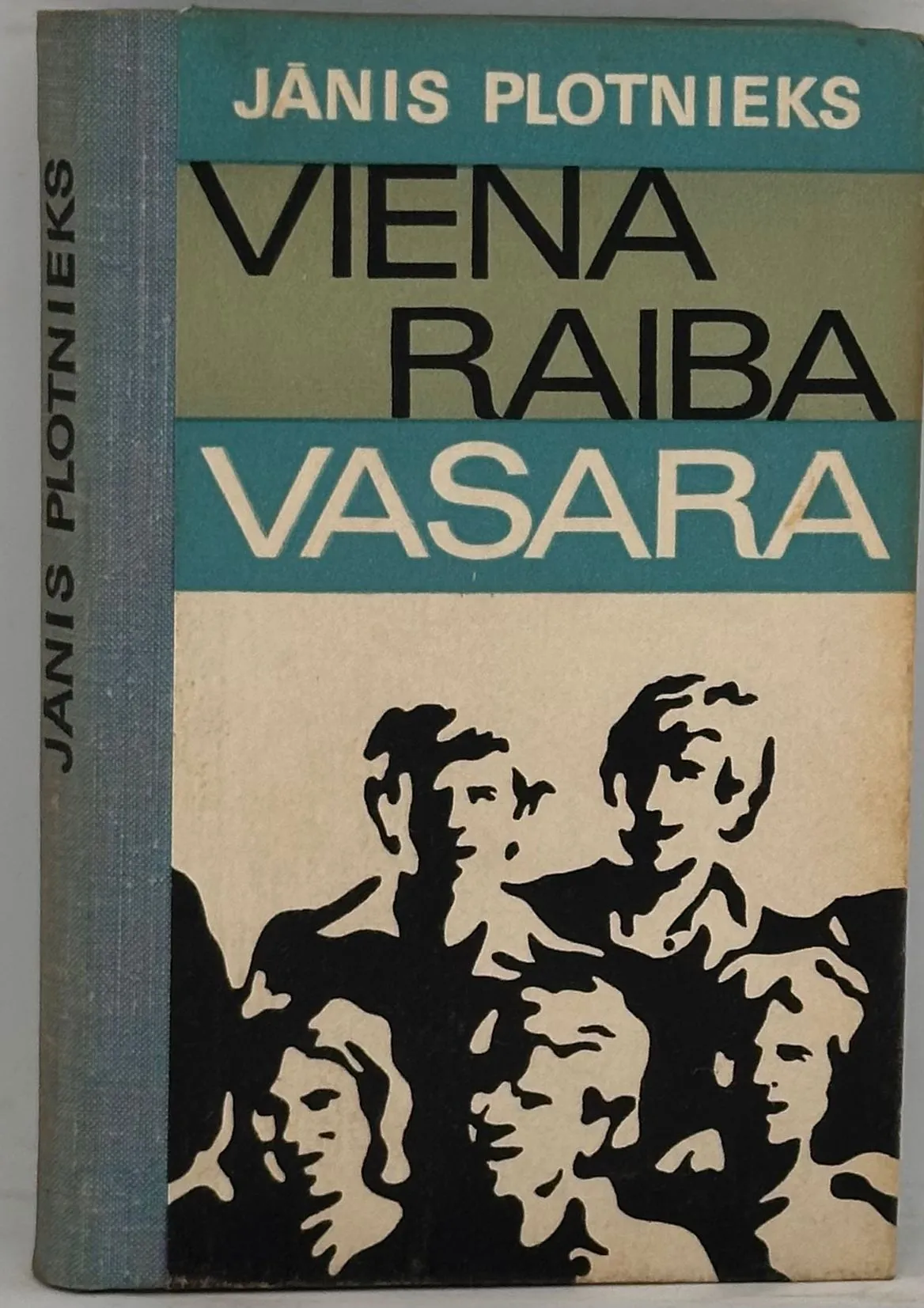 Viena raiba vasara
