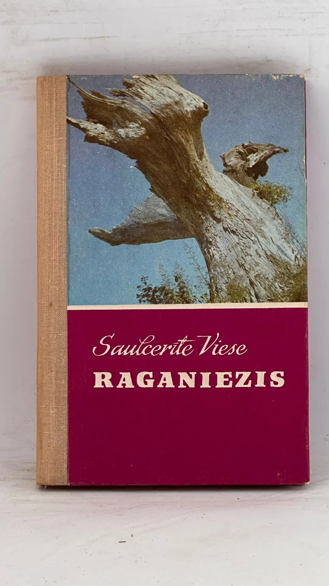 Raganiezis
