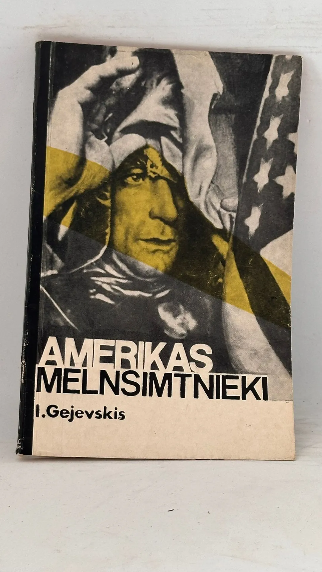 Amerikas melnsimtnieki