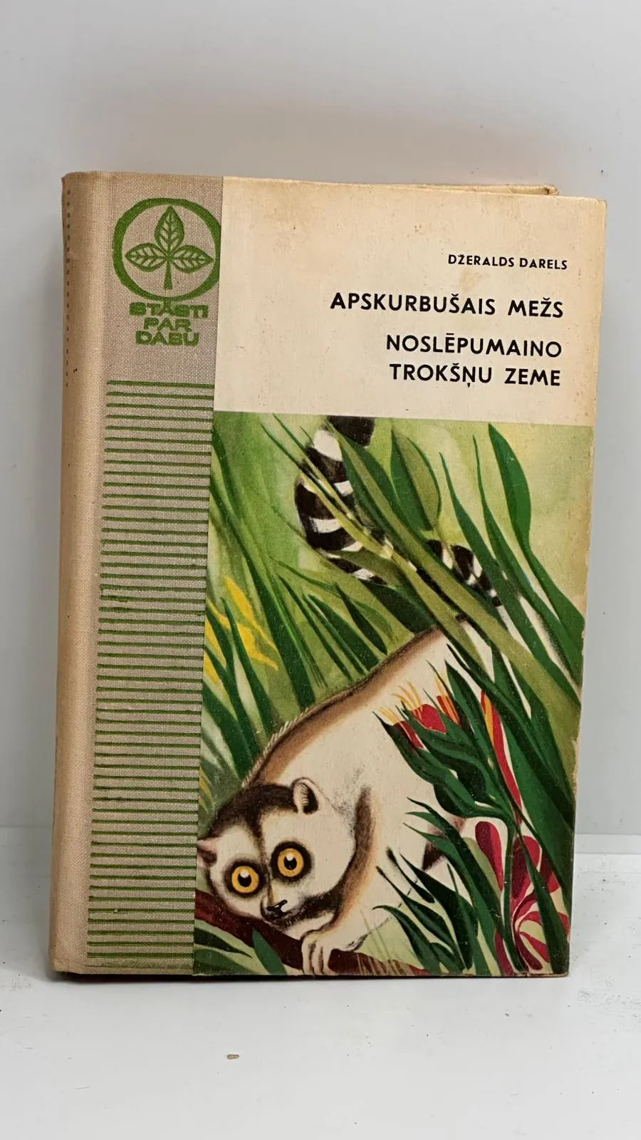 Apskurbušais mežs, noslēpumaino trokšņu zeme