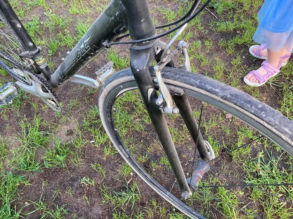Riteni 700x28c shaurie. Karbona daksha. Aluminija ramis.