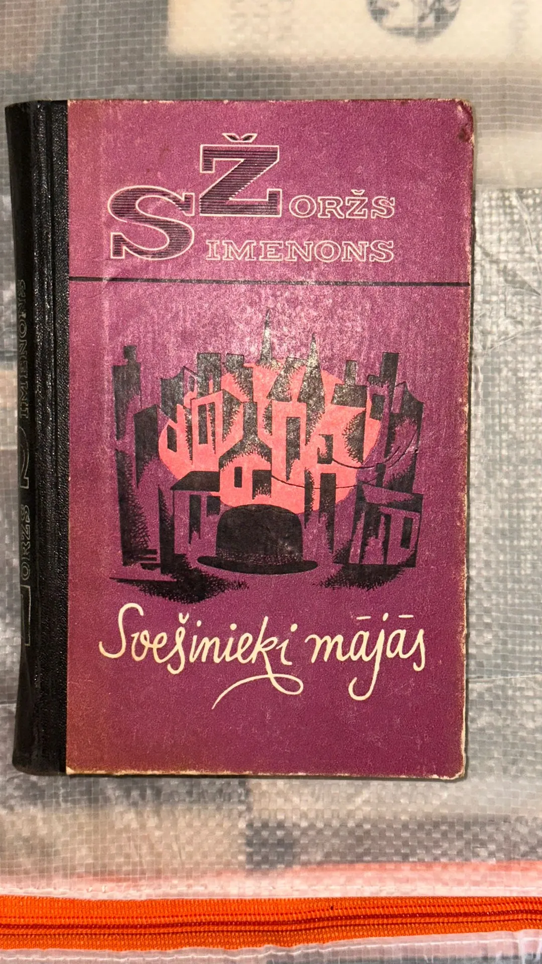 Grāmata 'Svešinieki mājās'