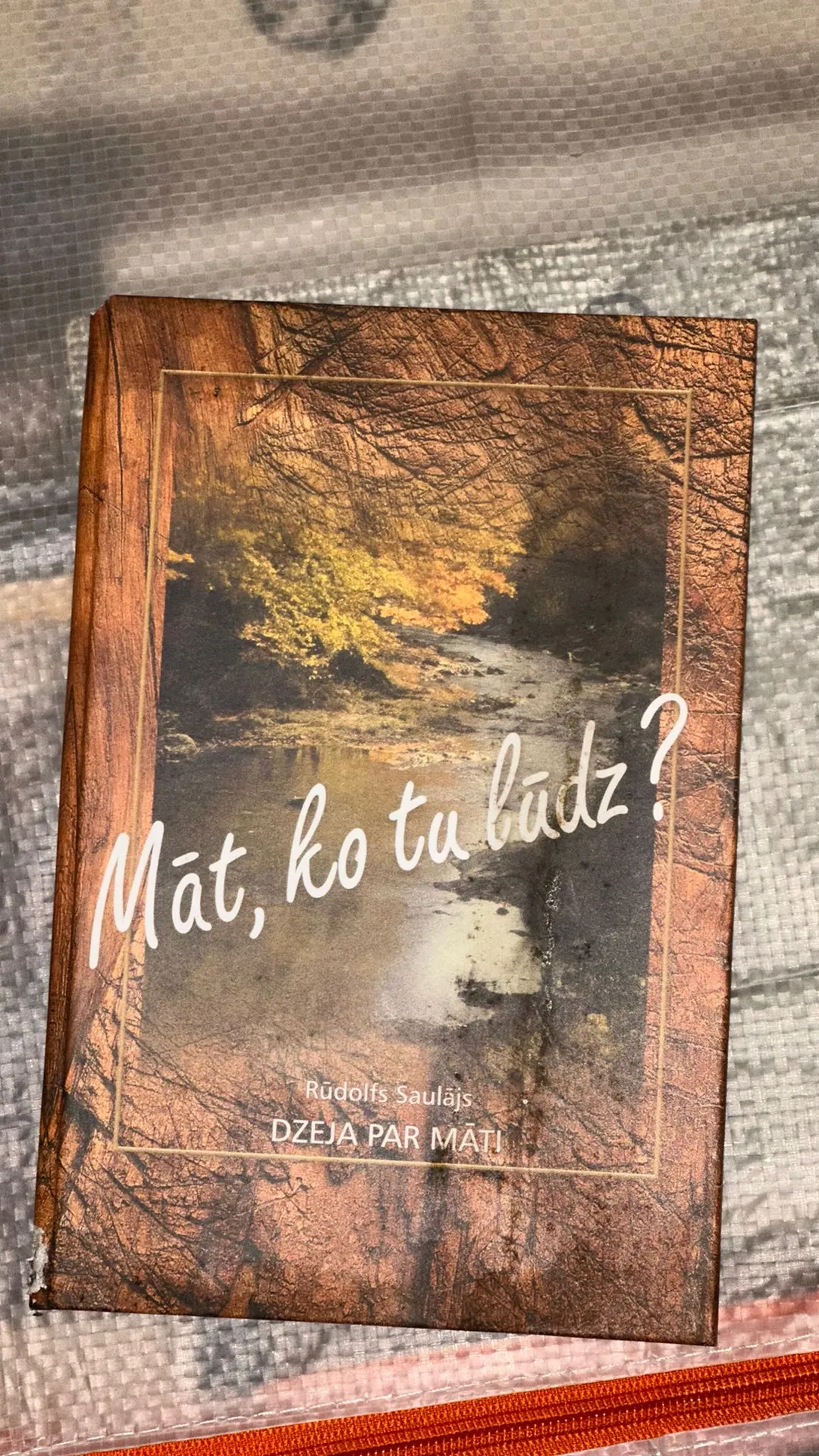 Dzeja par Māti: "Māt, ko tu lūdz?"