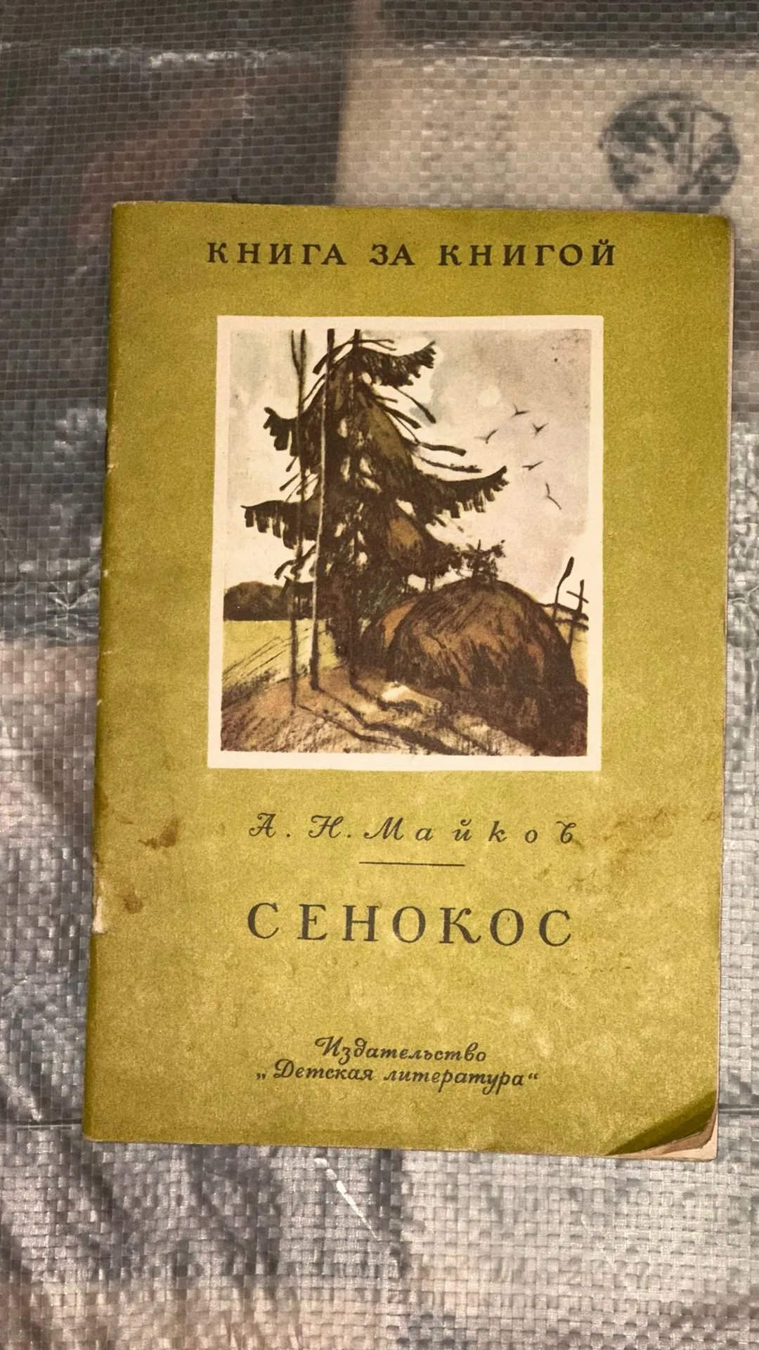 Senokos - A. N. Maykov
