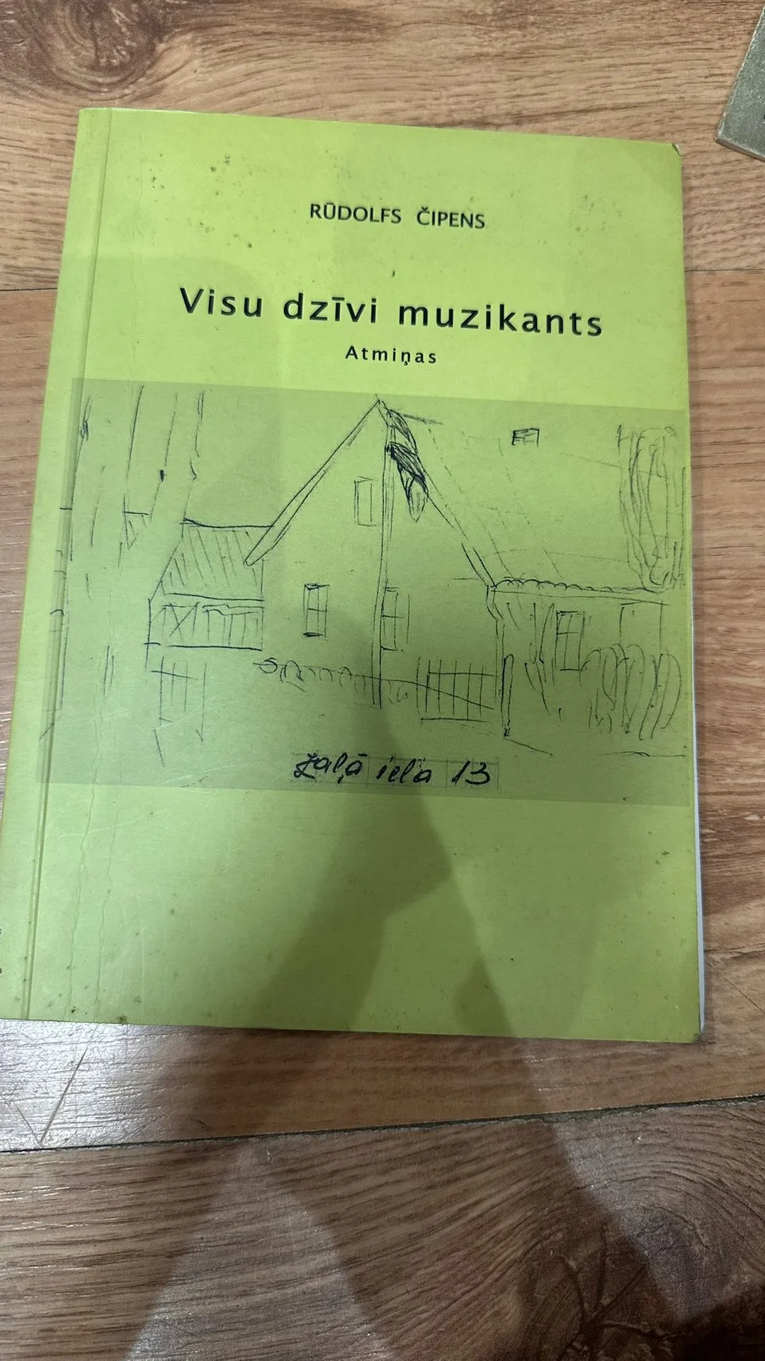 Visu dzīvi muzikants. Atmiņas